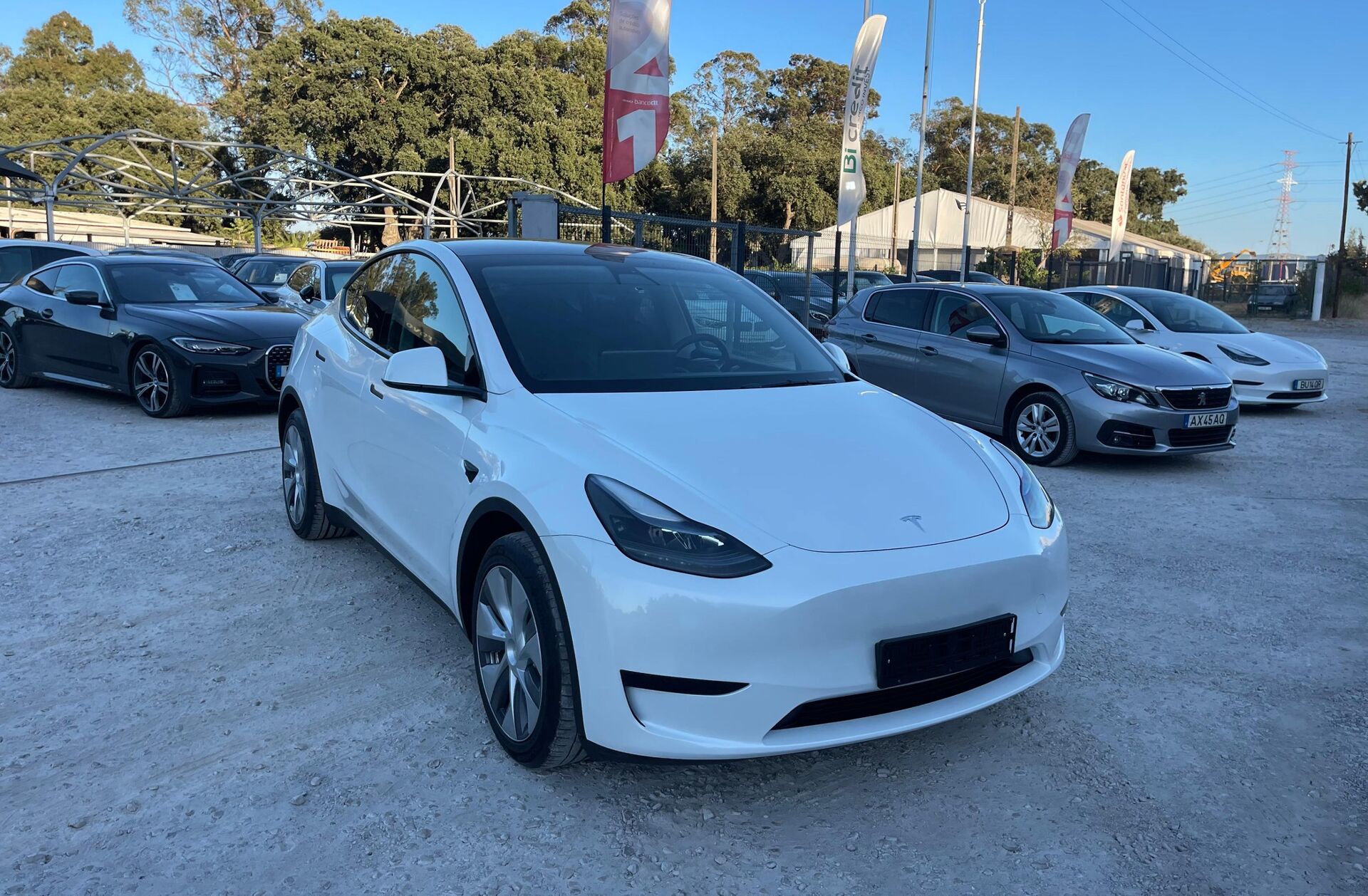 TESLA Model Y Tração Traseira
