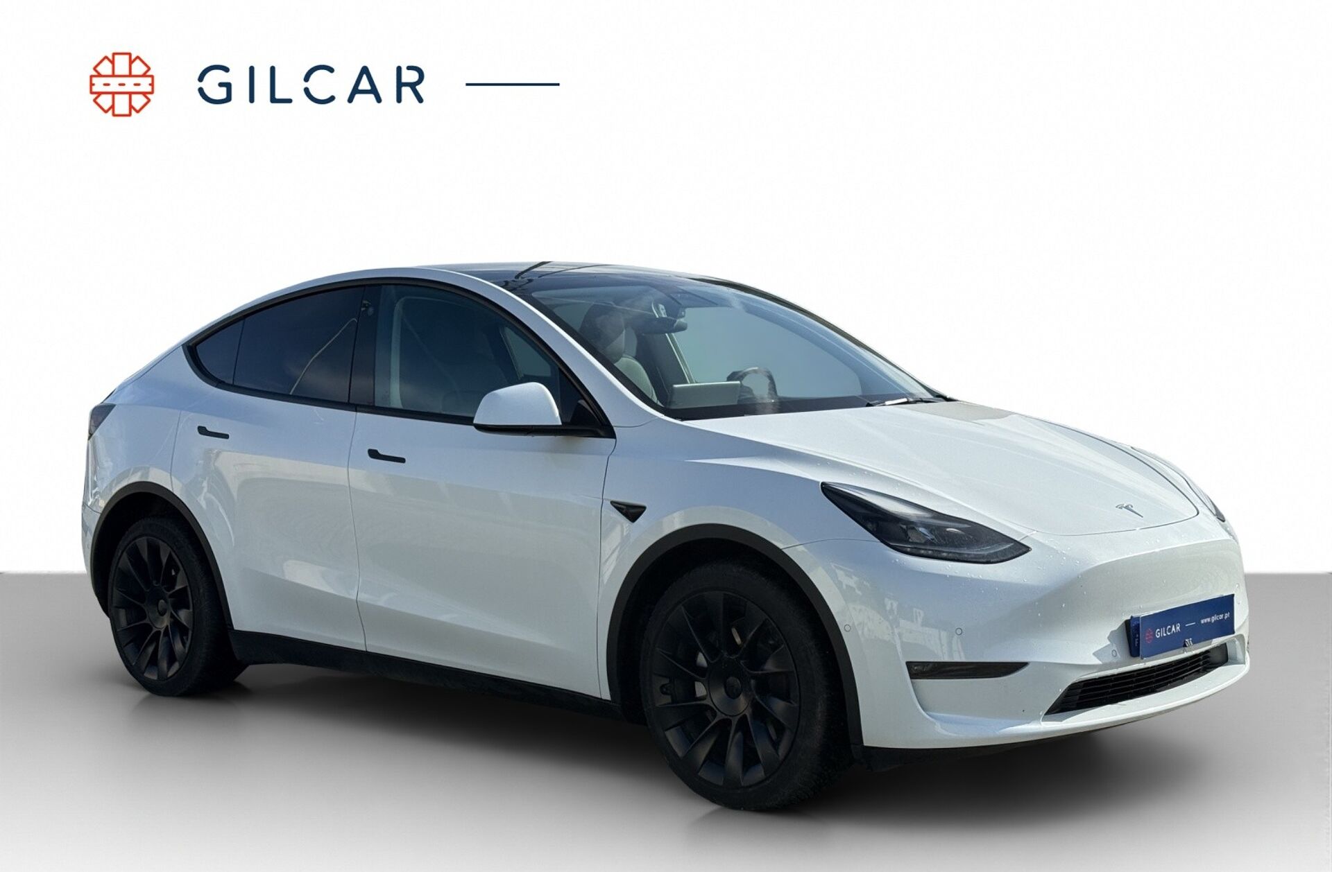 TESLA Model Y Long Range Tração Integral