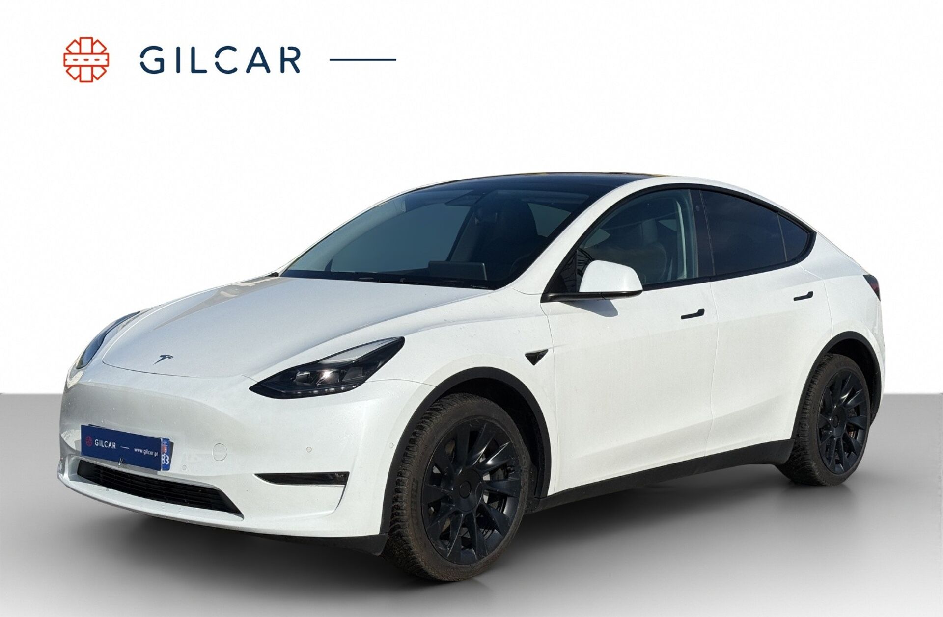 TESLA Model Y Long Range Tração Integral