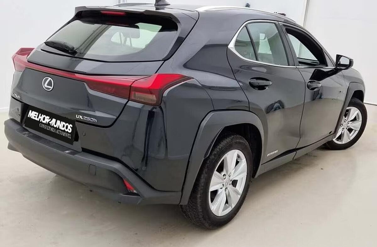 LEXUS UX 250h Business
