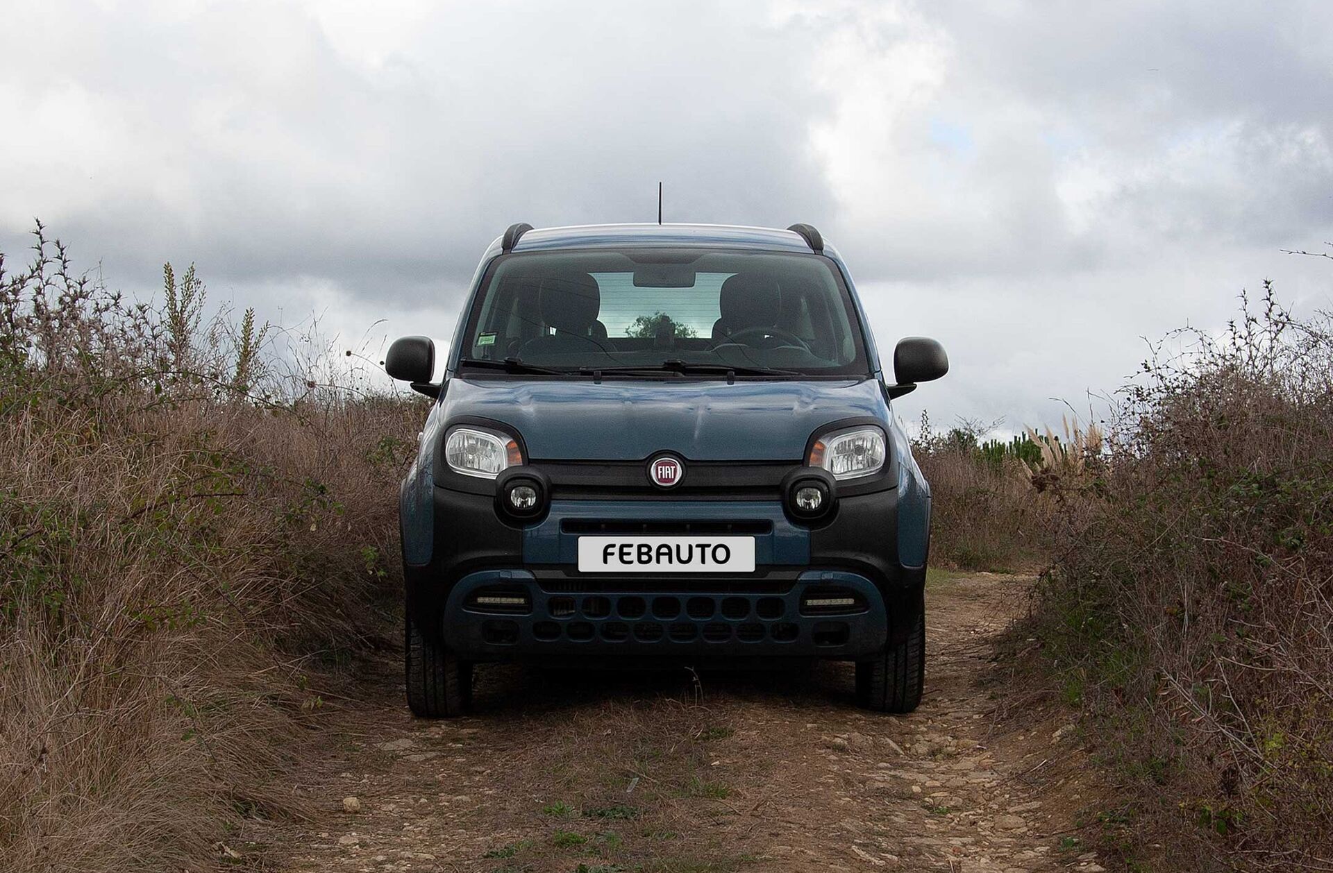 FIAT Panda 0.9 8V TwinAir Cross 4x4