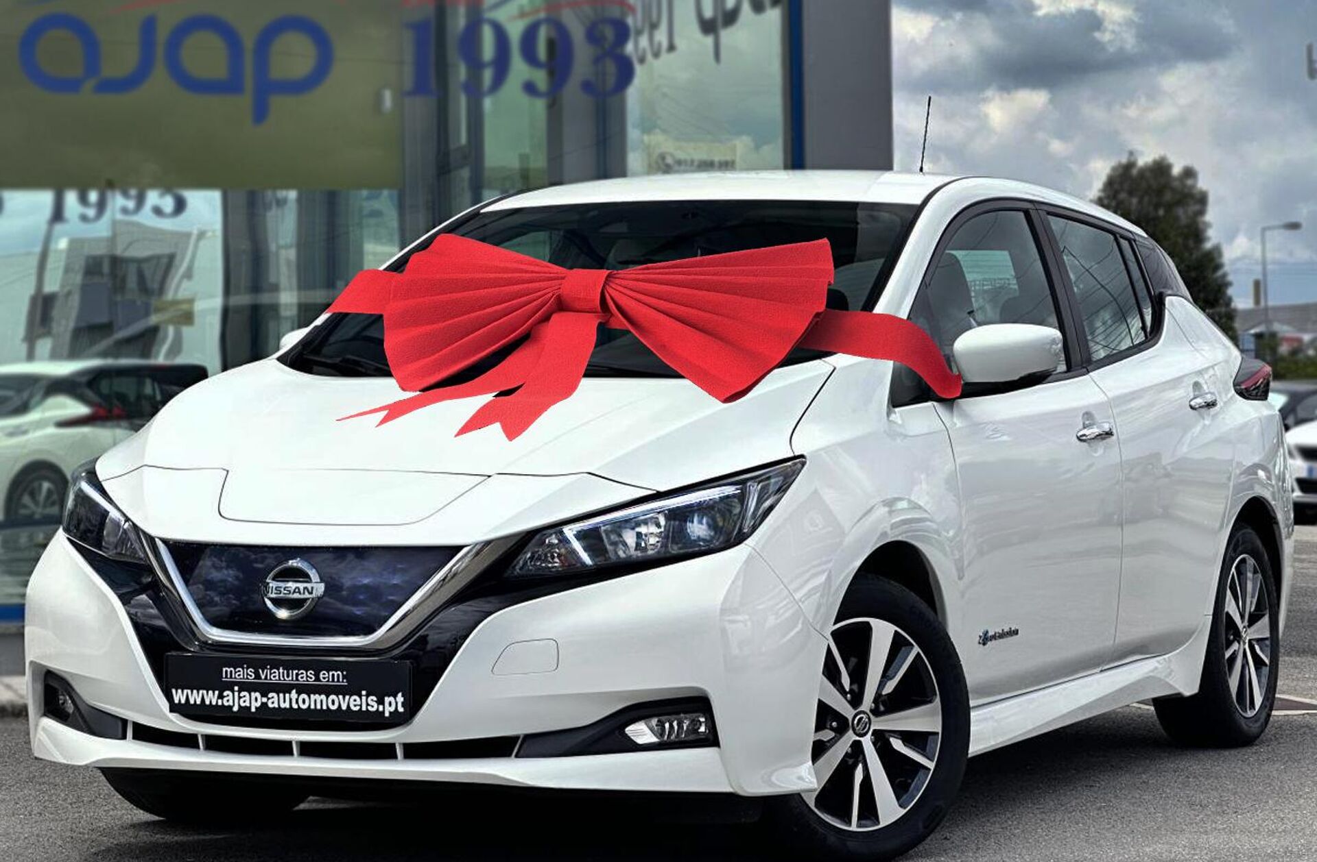 NISSAN Leaf N-Connecta