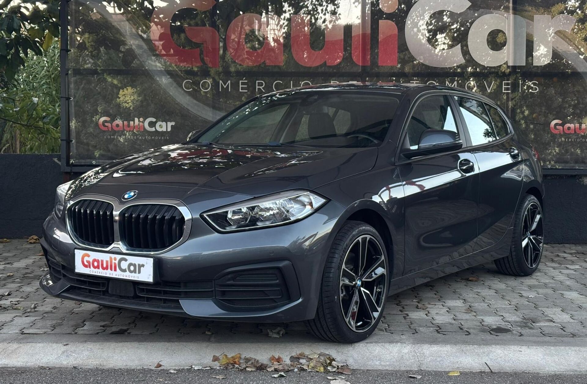 BMW Serie-1 116 d Advantage