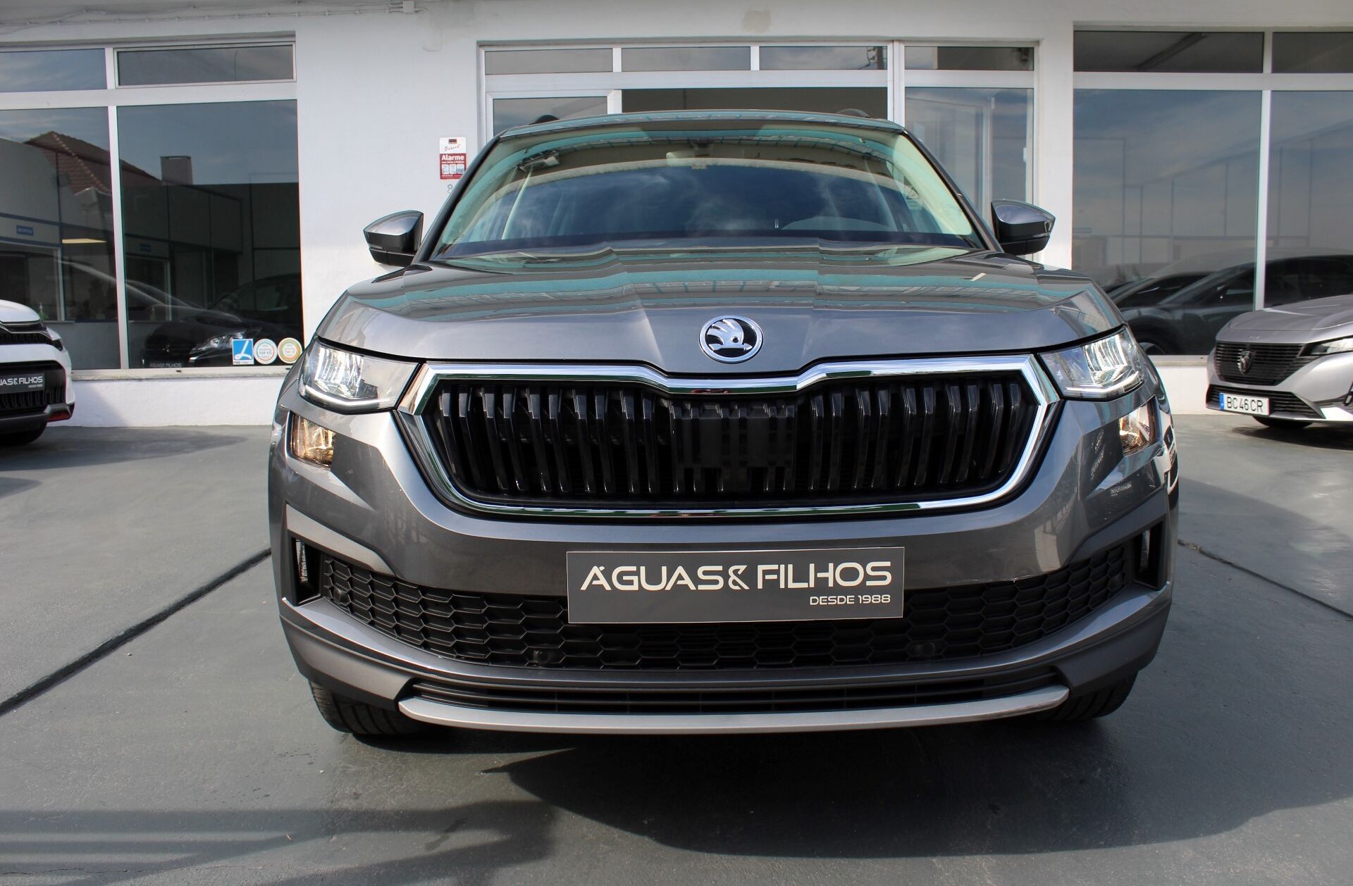 SKODA Kodiaq 2.0 TDI DSG