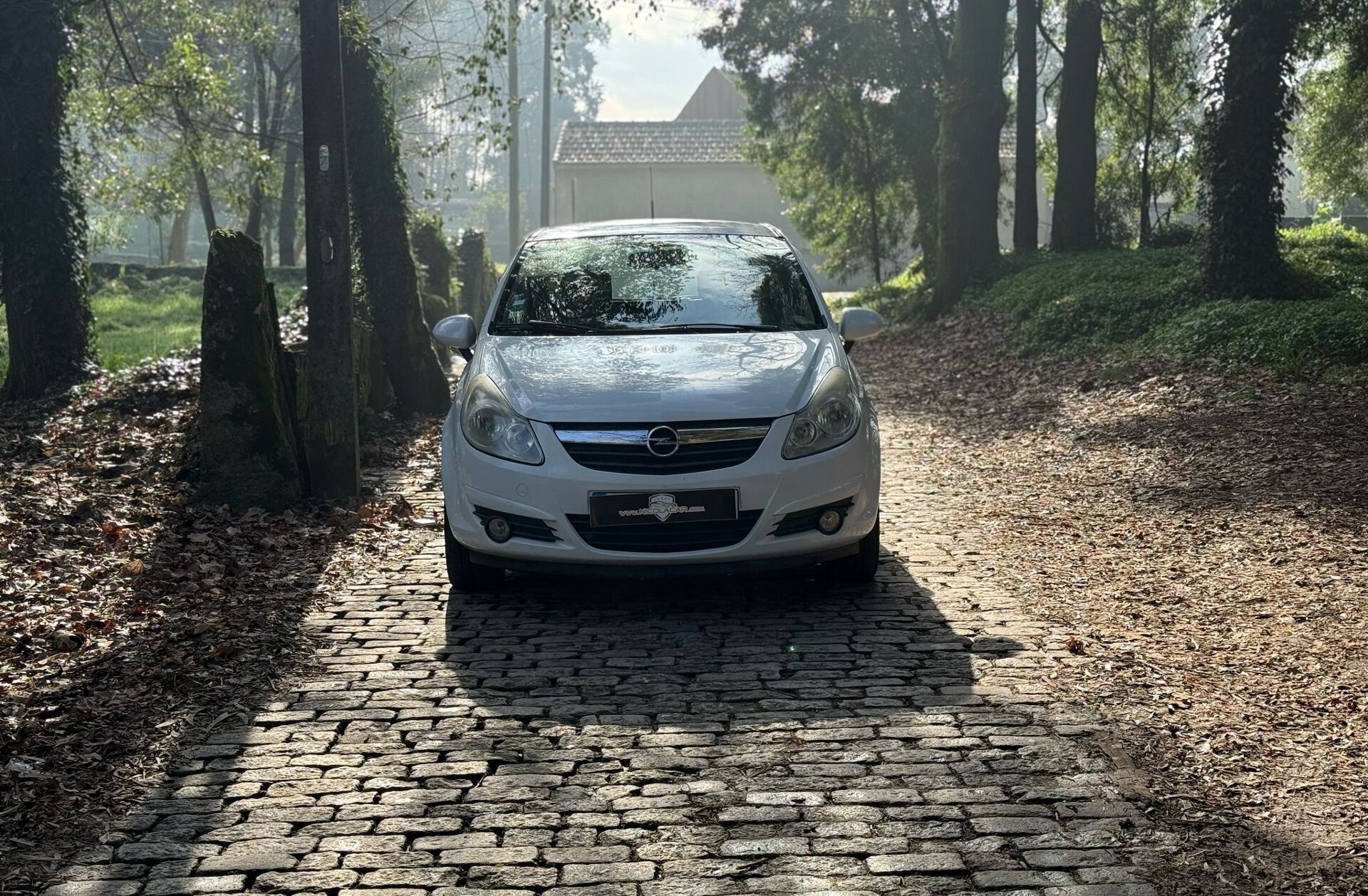OPEL Corsa D Corsa 1.2 Cosmo 111
