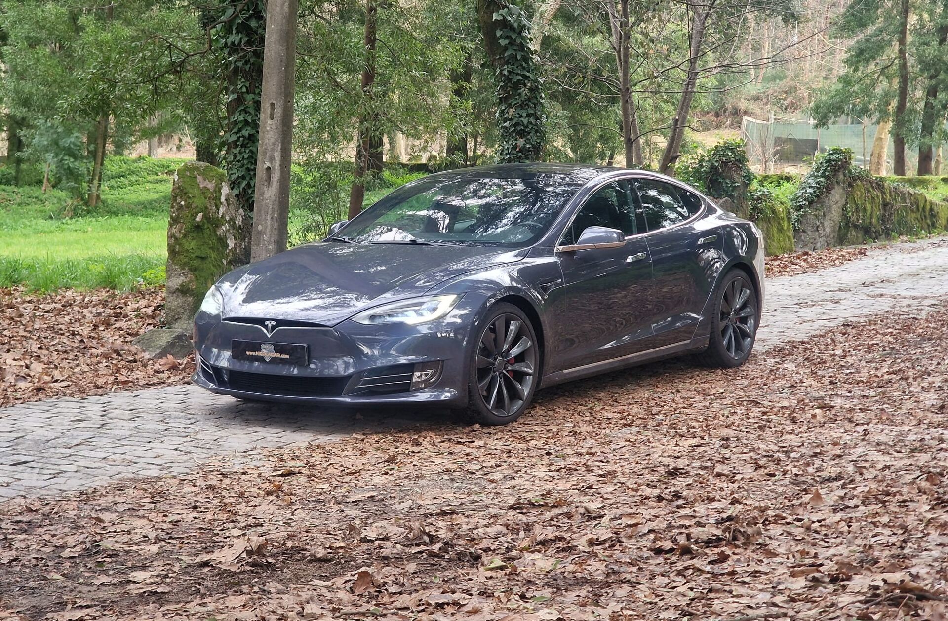 TESLA Model S 90D