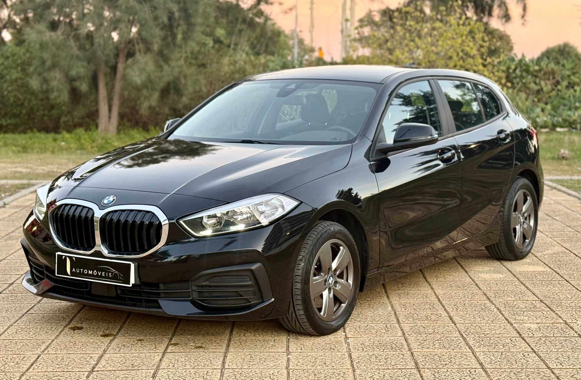 BMW Serie-1 116 d Advantage