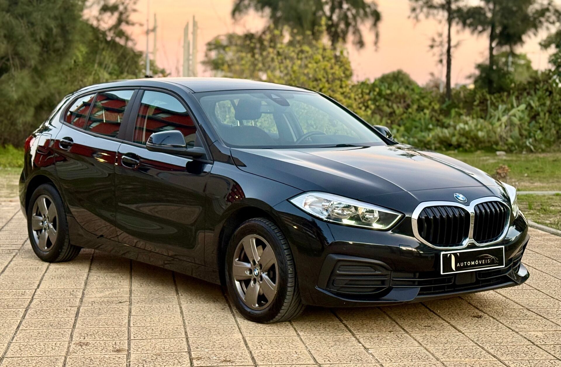 BMW Serie-1 116 d Advantage