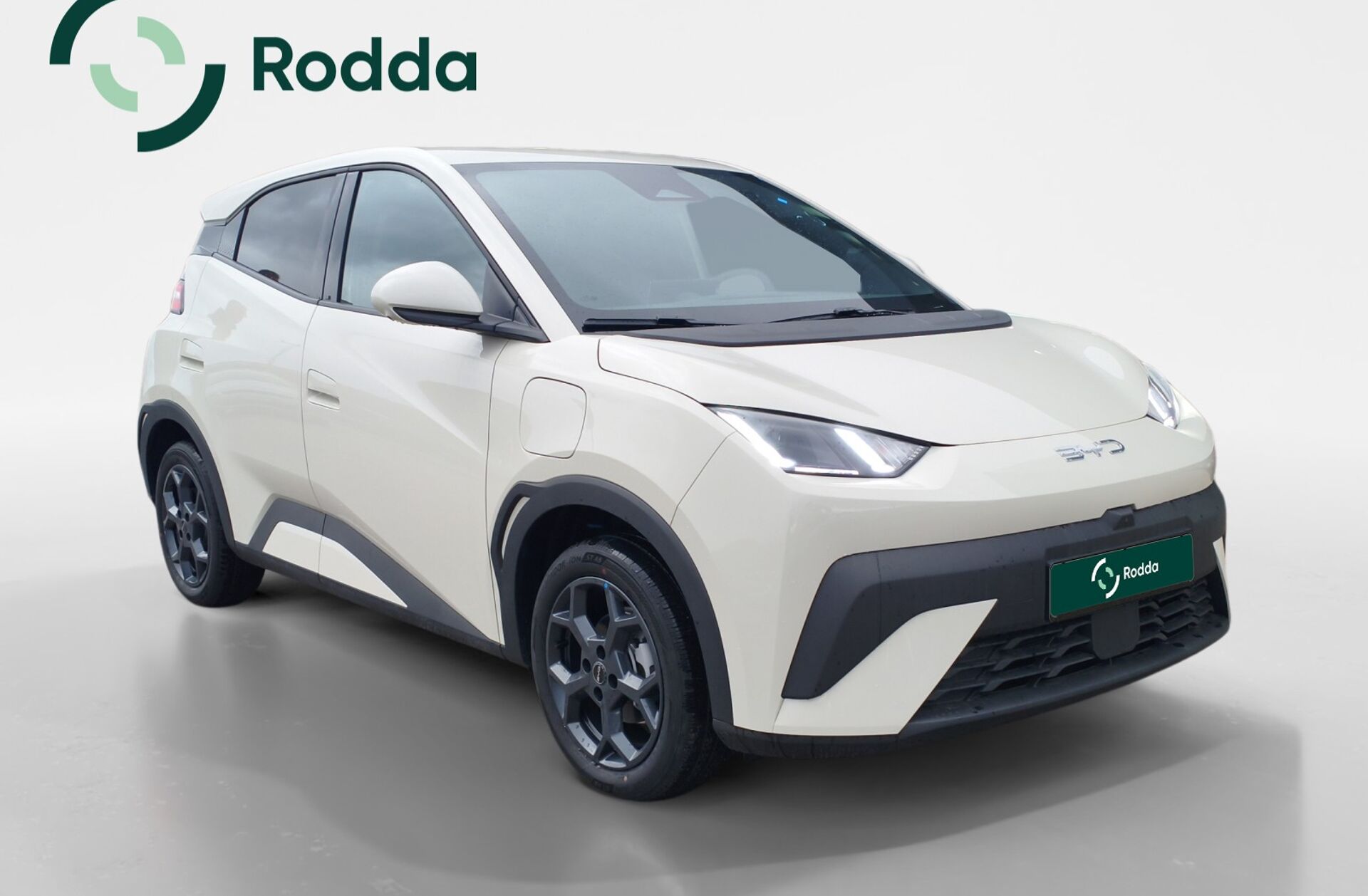 BYD Dolphin 60.4 kWh Design