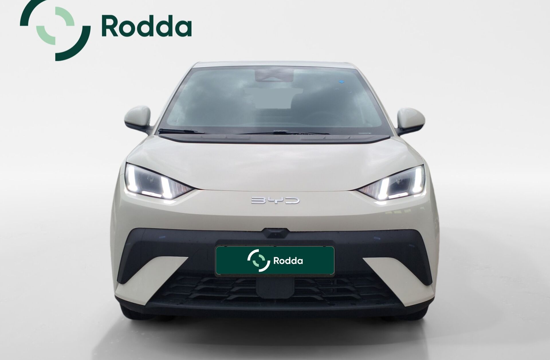 BYD Dolphin 60.4 kWh Design