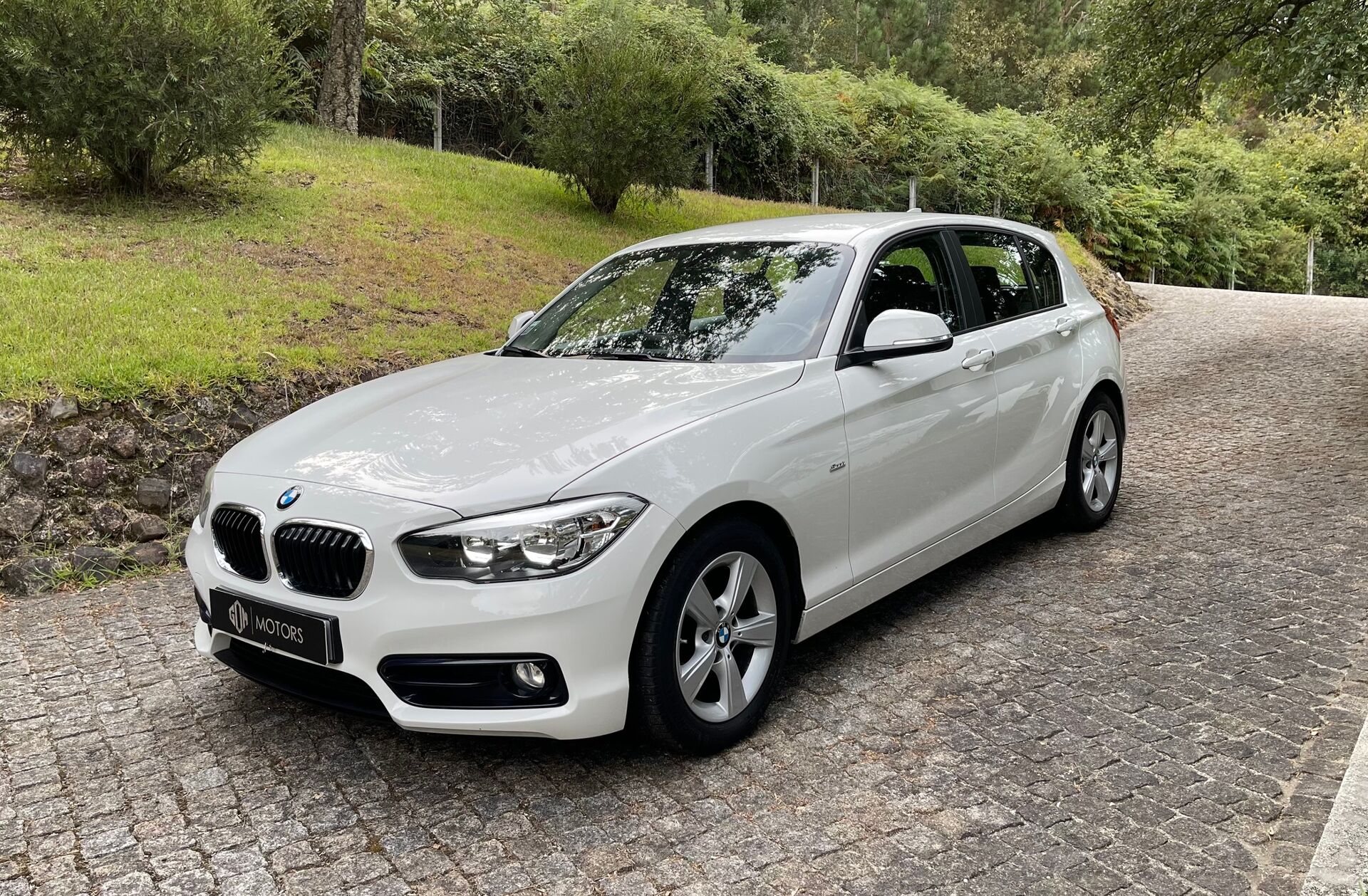 BMW Serie-1 116 d EfficientDynamics