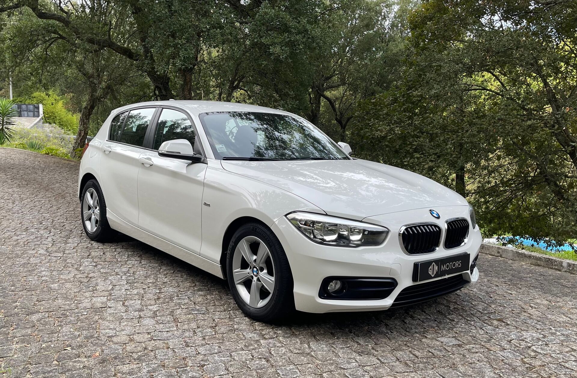 BMW Serie-1 116 d EfficientDynamics