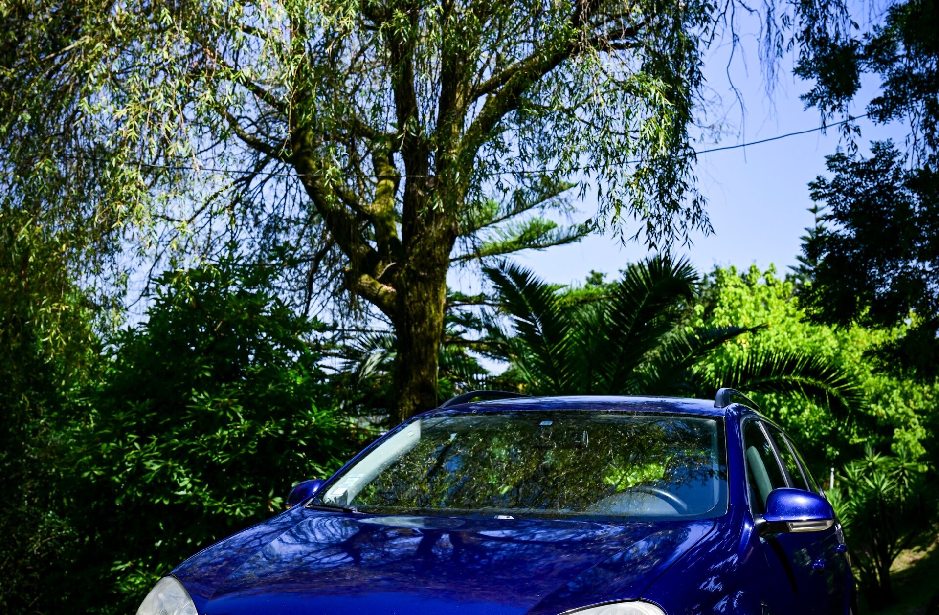 VOLKSWAGEN Golf Variant 1.9 TDi Confortline