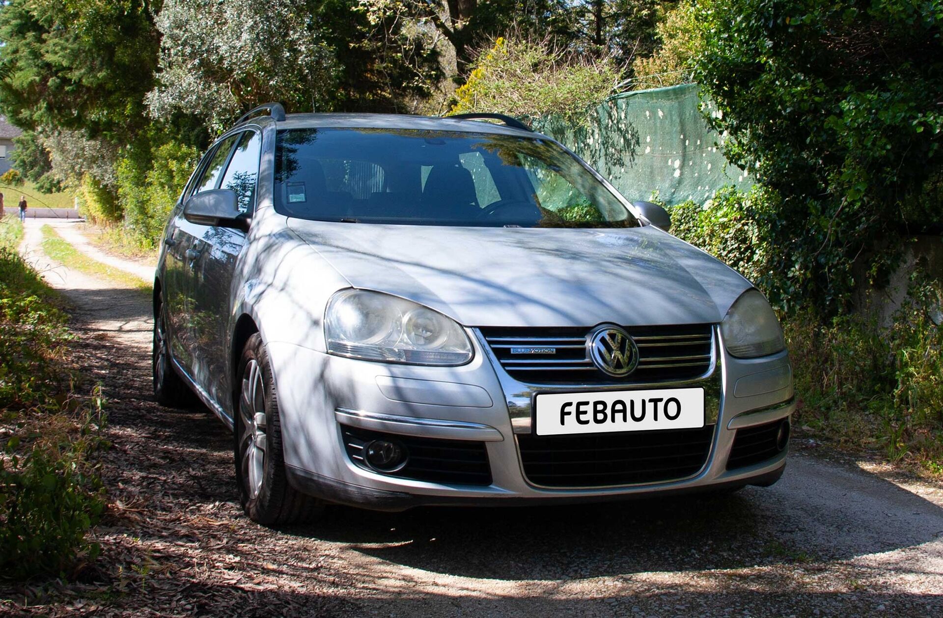 VOLKSWAGEN Golf 1.9 TDi BlueM. Confortline