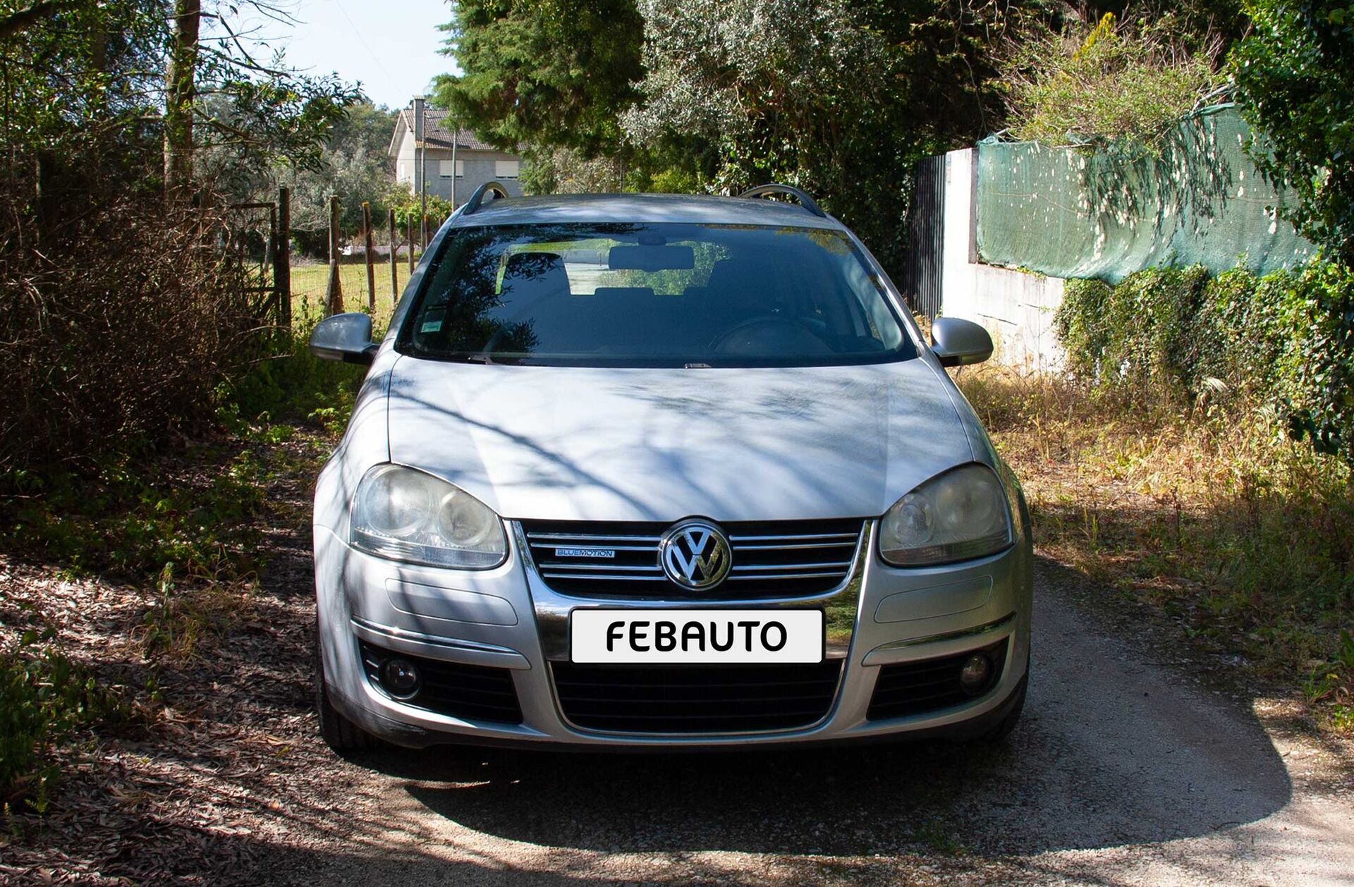 VOLKSWAGEN Golf 1.9 TDi BlueM. Confortline