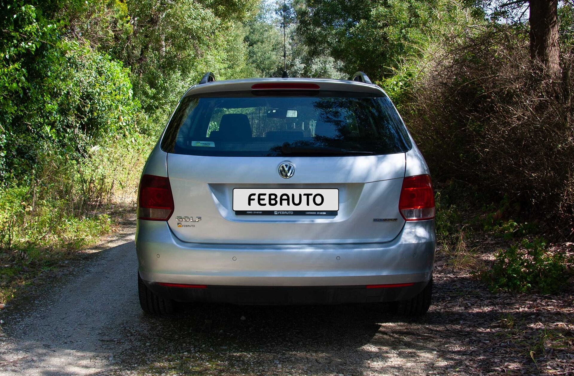 VOLKSWAGEN Golf 1.9 TDi BlueM. Confortline