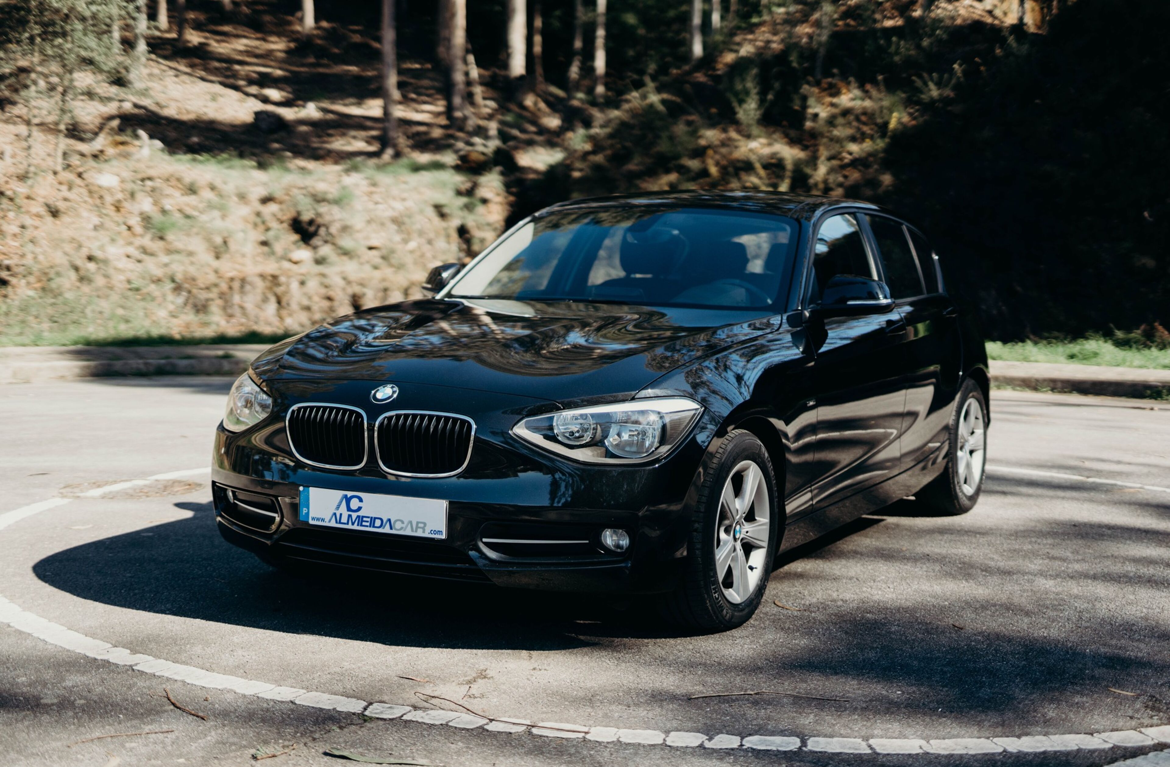 BMW Serie-1 116 d EDynamics Line Sport