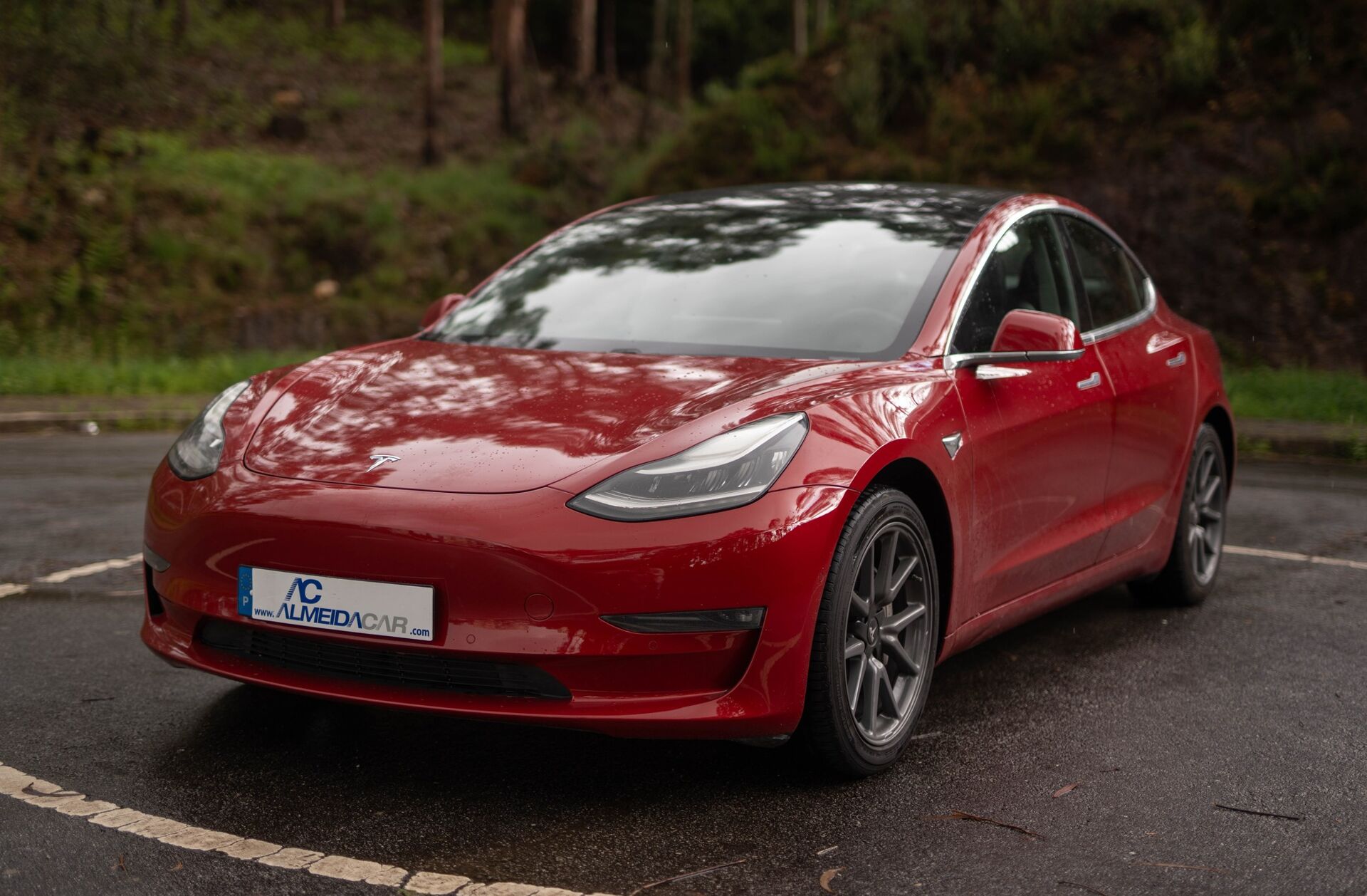 TESLA Model 3 Long-Range Dual Motor AWD