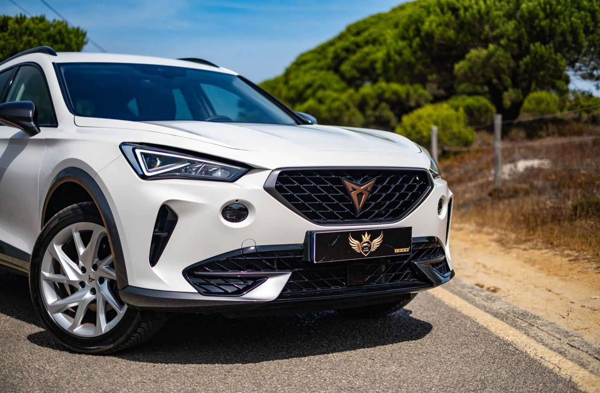 CUPRA Formentor 1.4 e-Hybrid Cupra DSG