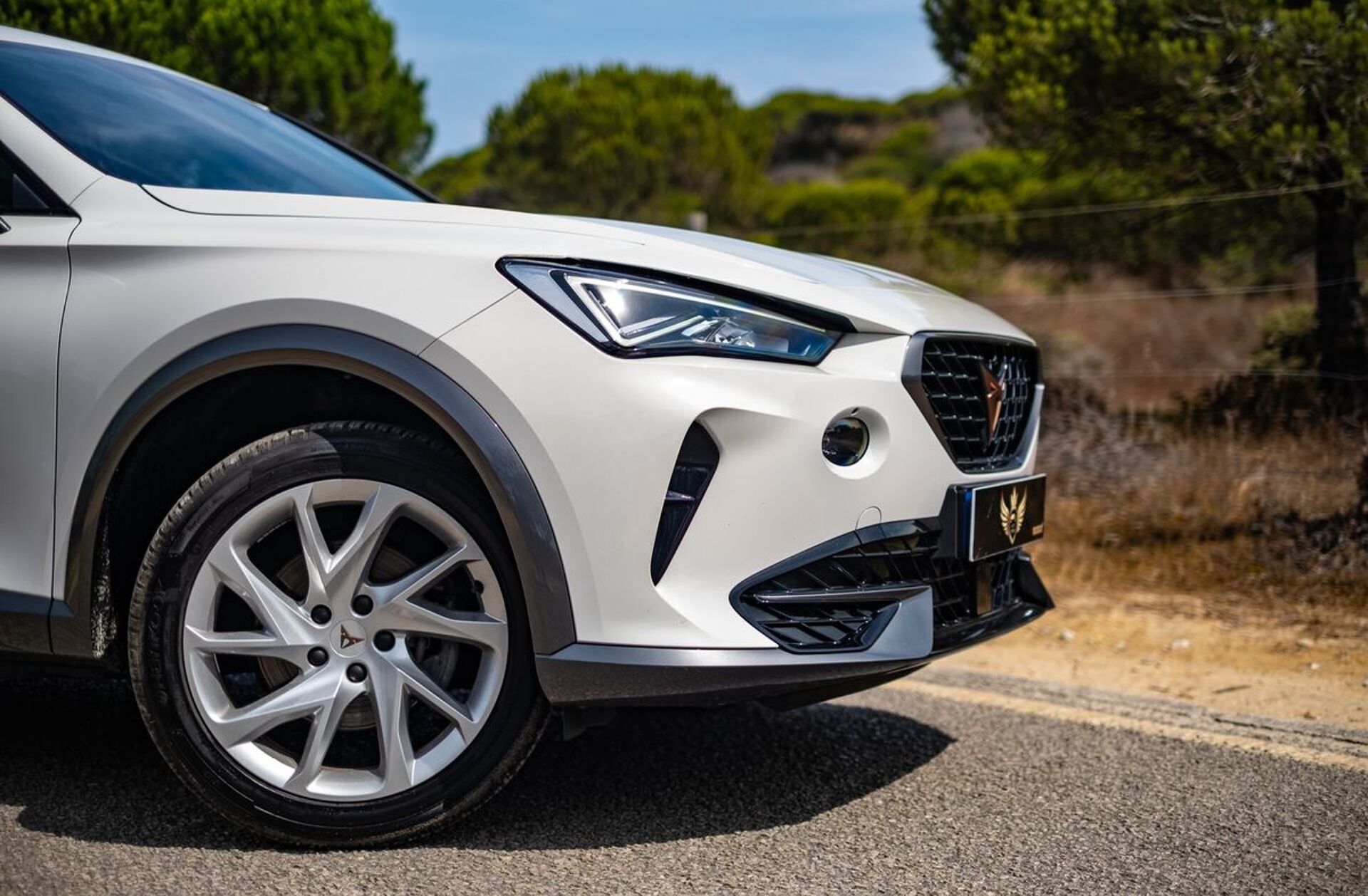 CUPRA Formentor 1.4 e-Hybrid Cupra DSG