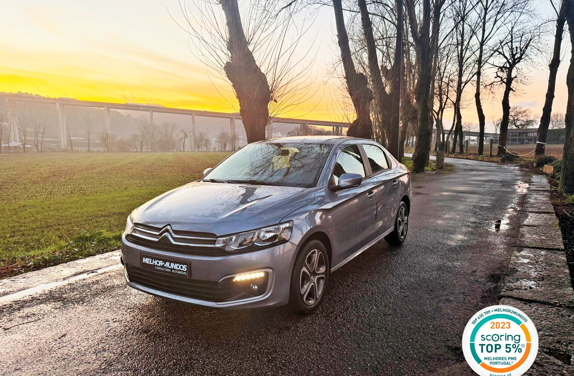 CITROEN C-Elysée C Elysée 1.2 PureTech Shine