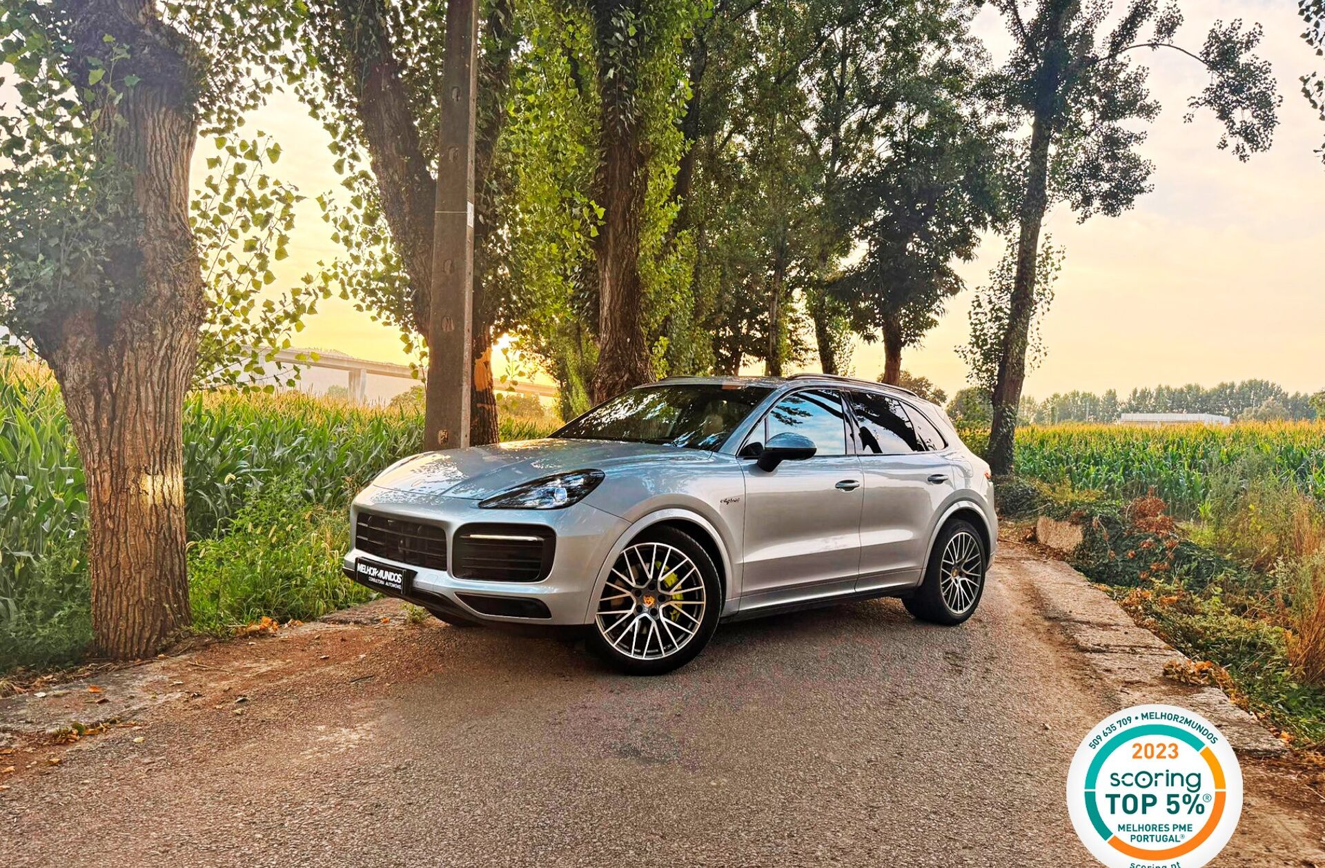 PORSCHE Cayenne E-Hybrid