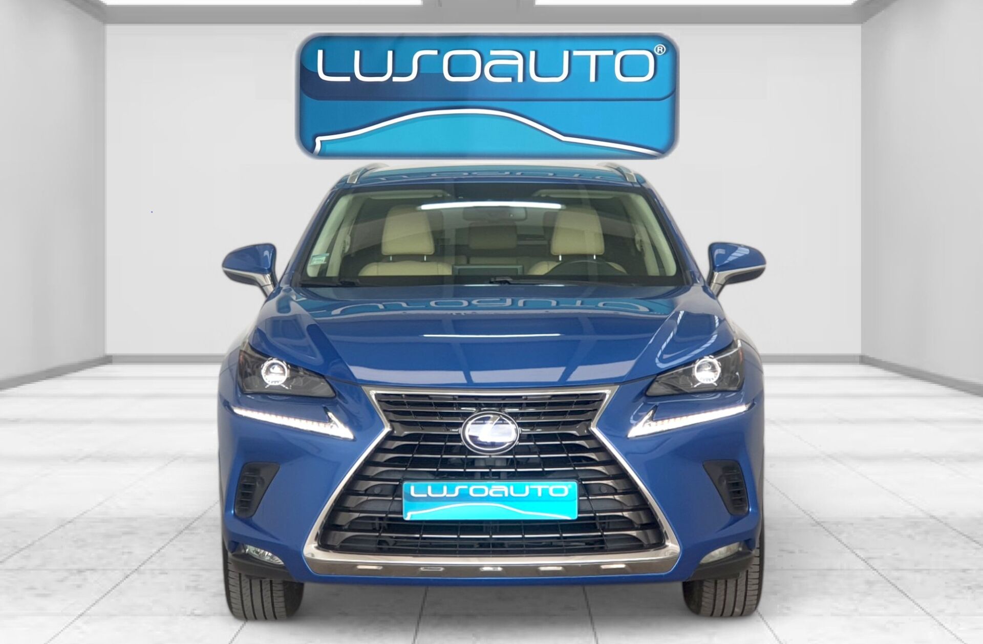 LEXUS NX 300h Executive+