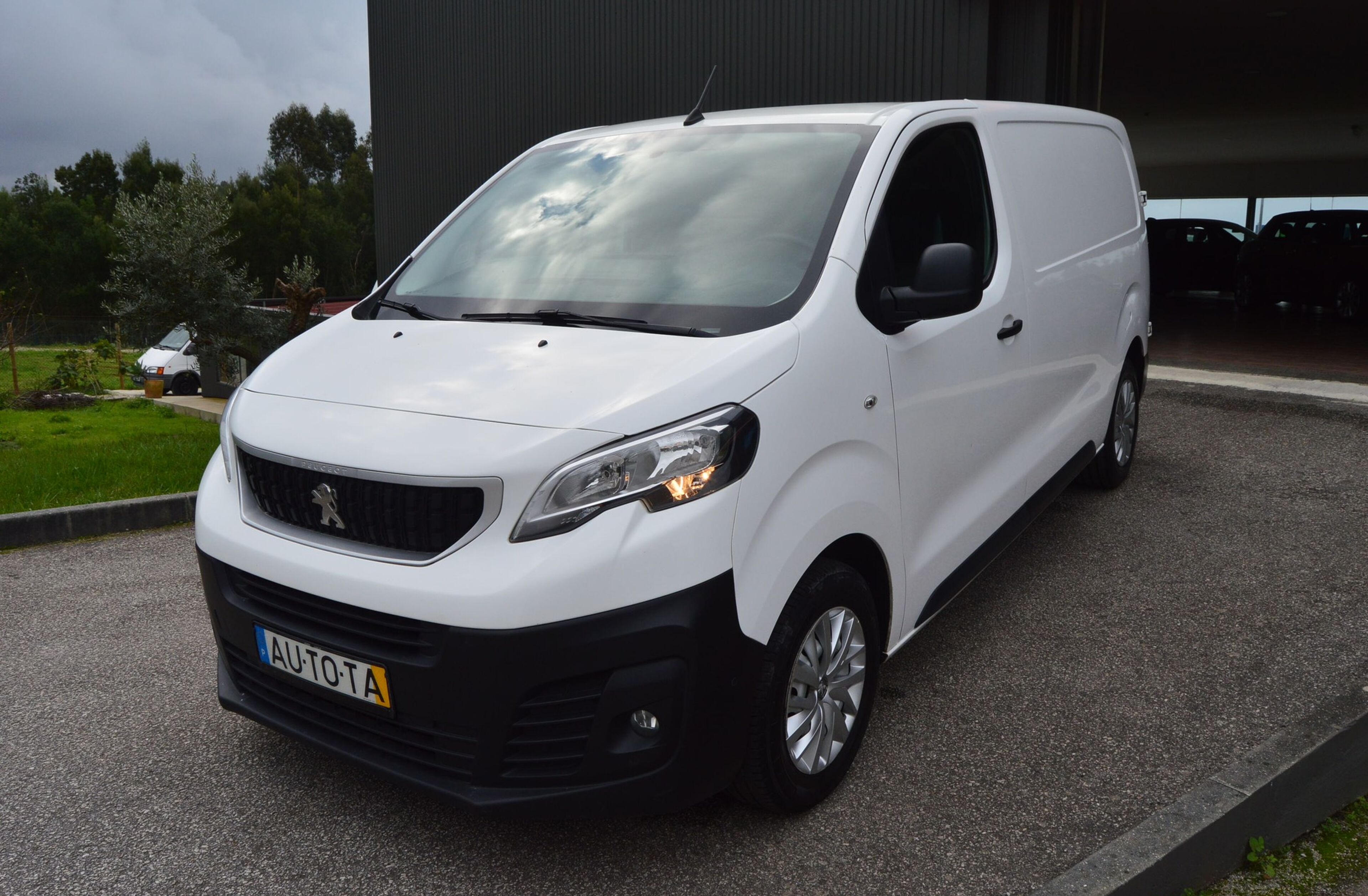 PEUGEOT Expert Outro
