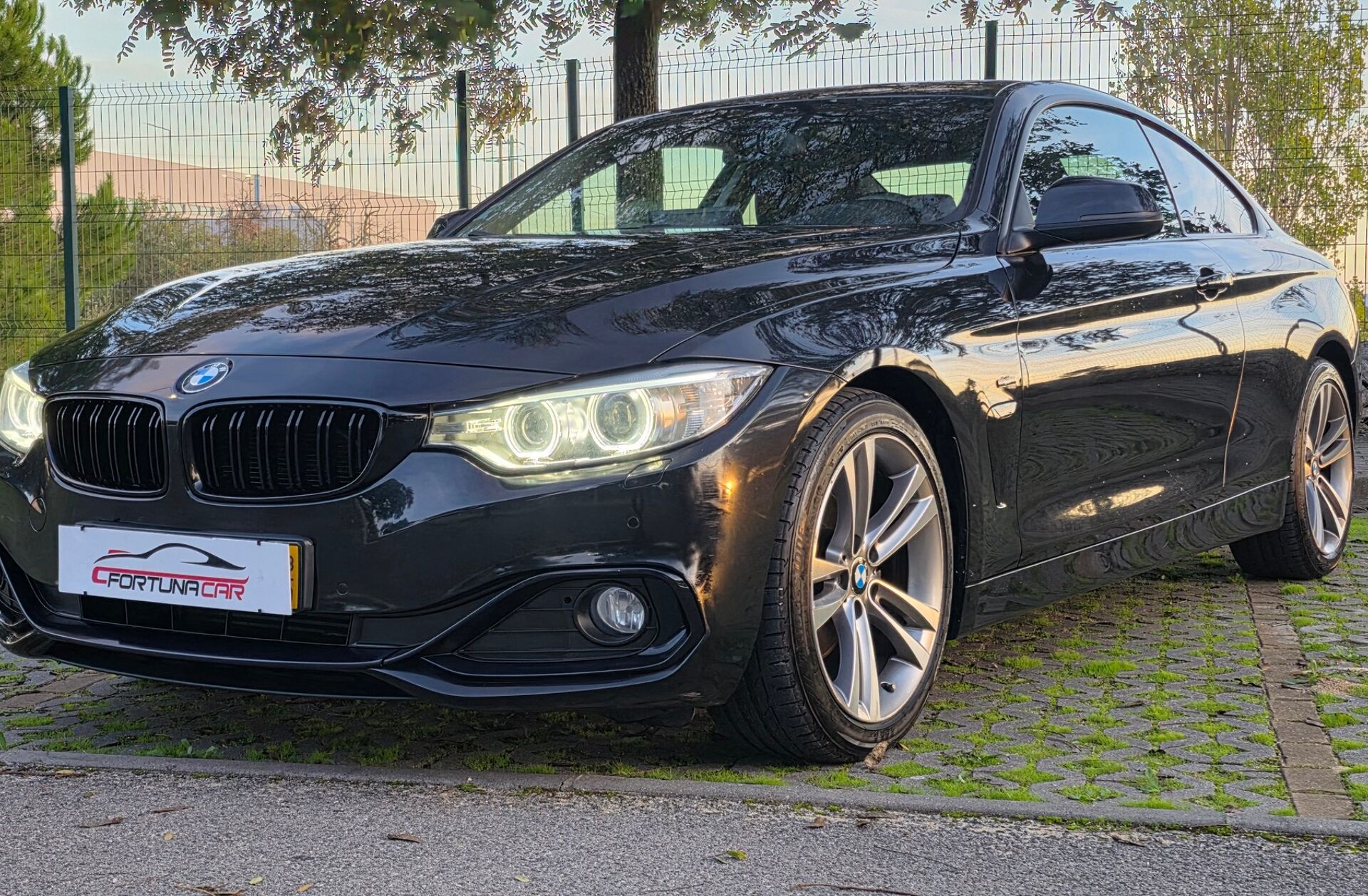 BMW Serie-4 420 d Line Sport