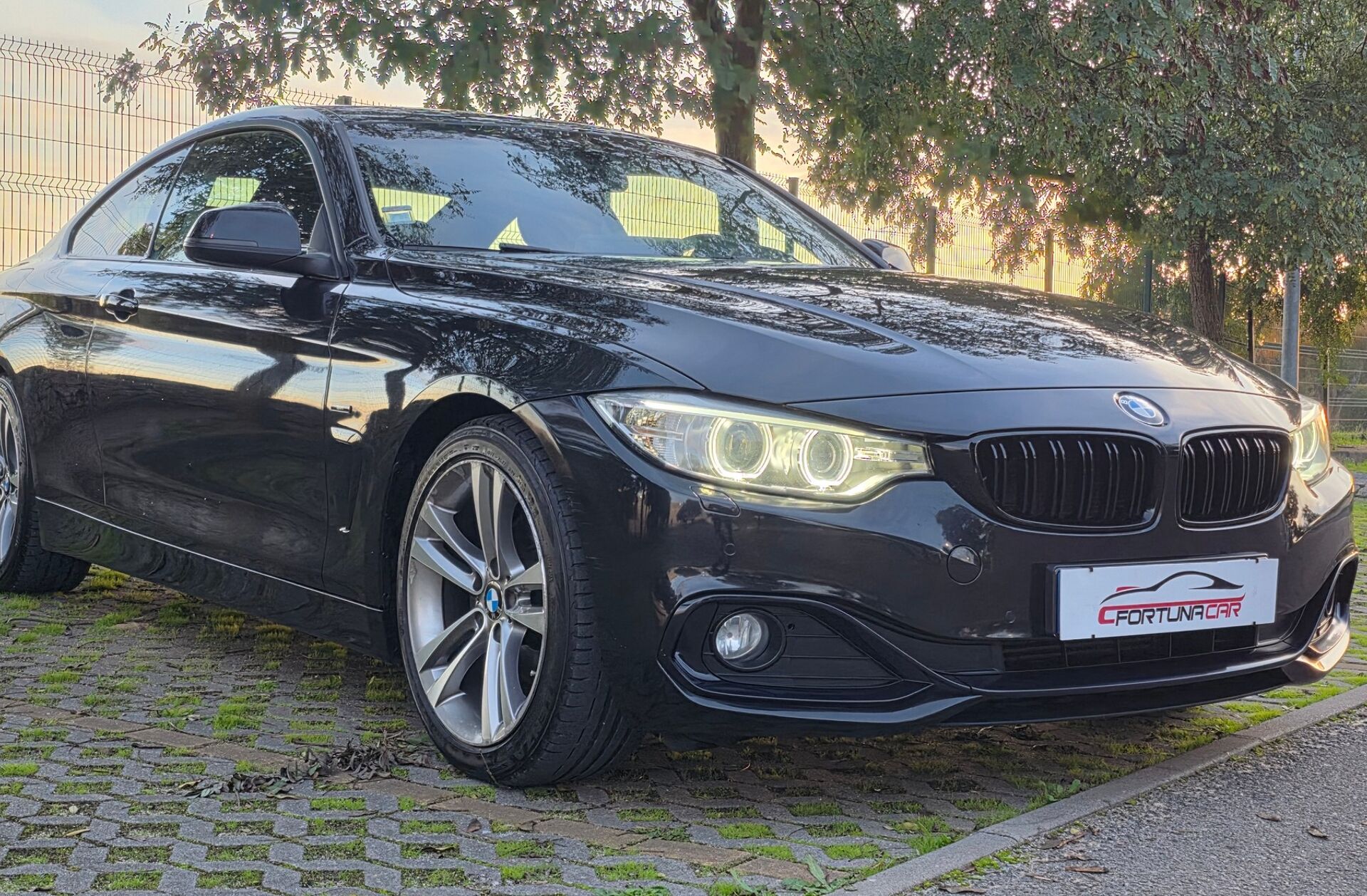 BMW Serie-4 420 d Line Sport