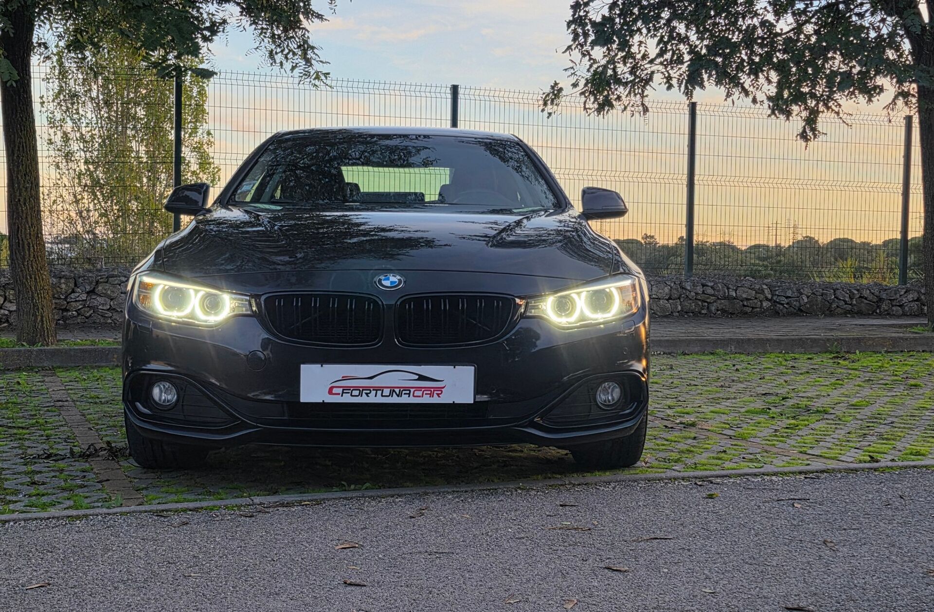BMW Serie-4 420 d Line Sport
