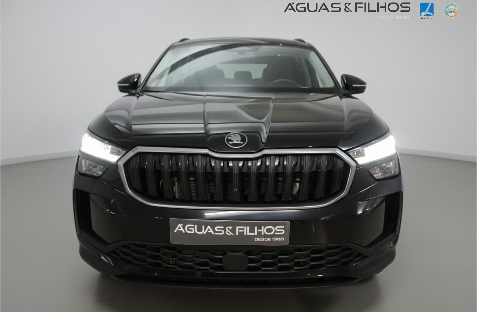 SKODA Kodiaq 1.5 TSI mHEV DSG