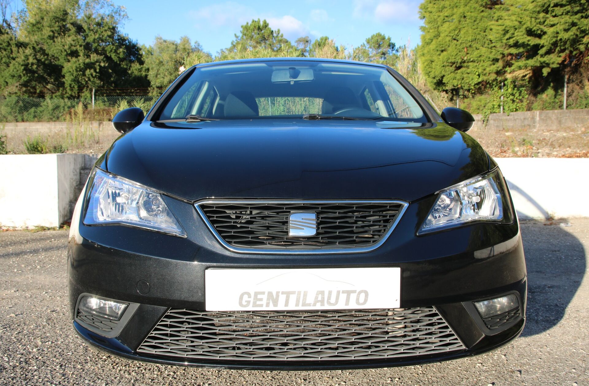 SEAT Ibiza 1.2 12V Style