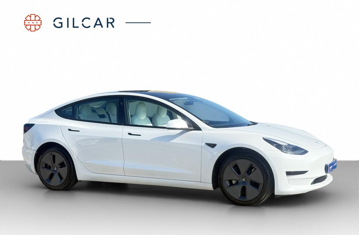 TESLA Model 3 Standard Range Plus RWD