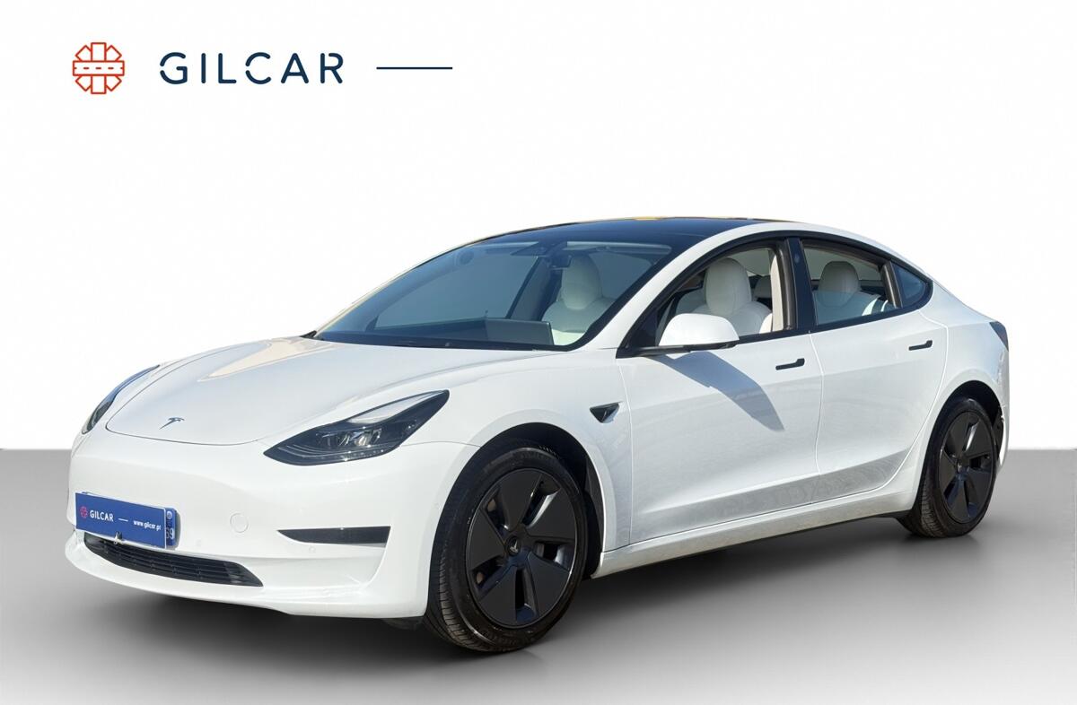 TESLA Model 3 Standard Range Plus RWD