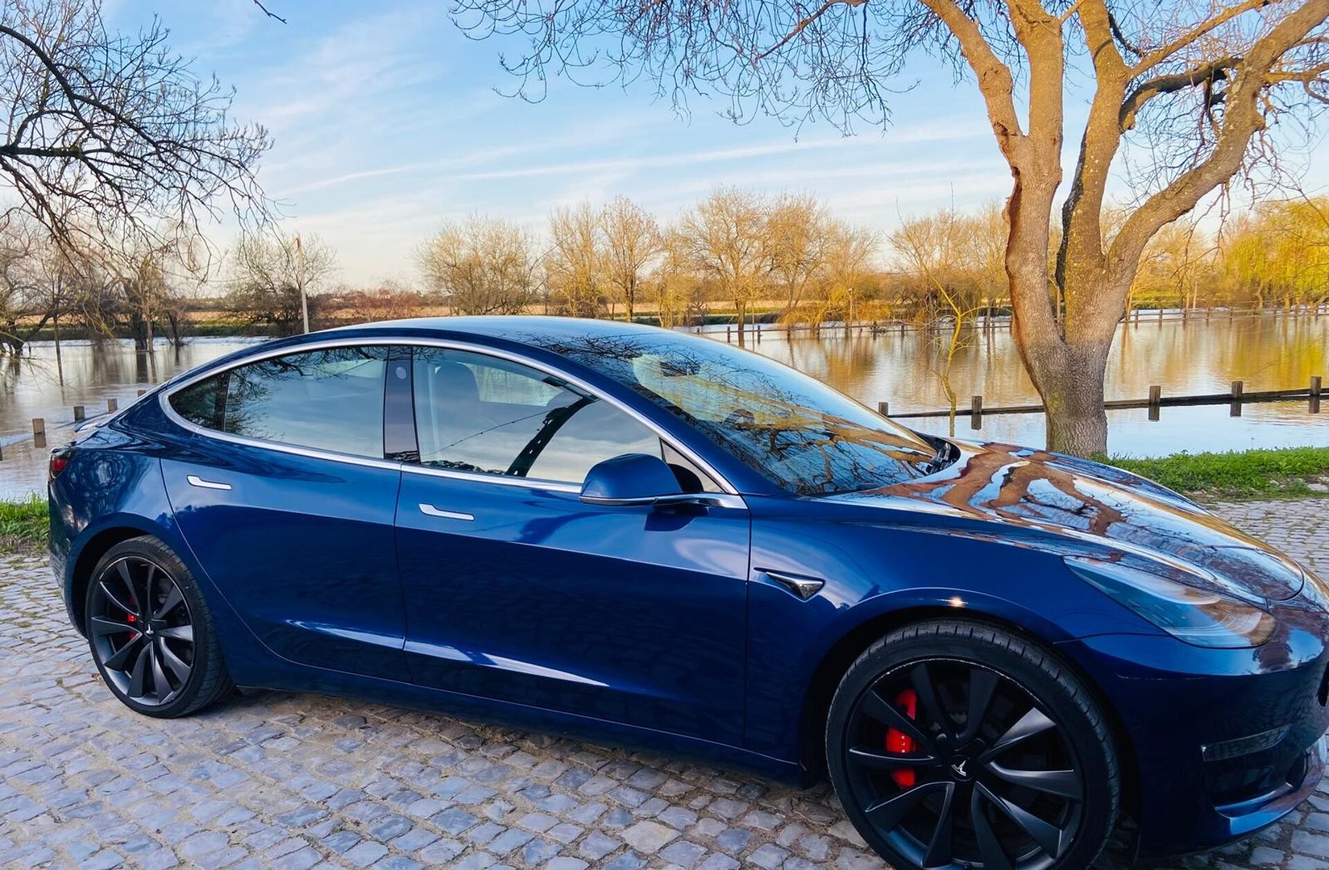 TESLA Model 3 Performance Dual Motor AWD