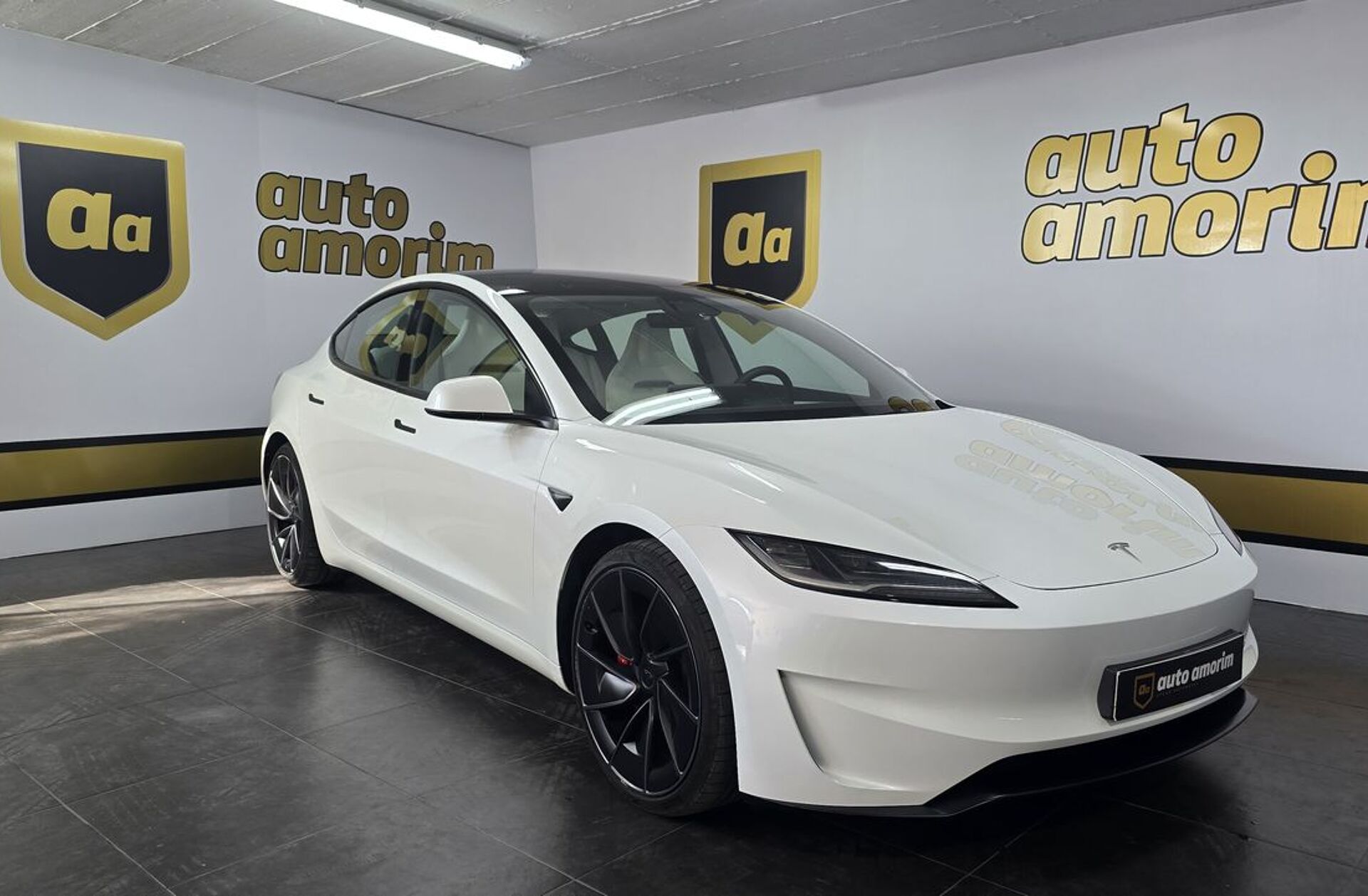 TESLA Model 3 Performance Tração Integral