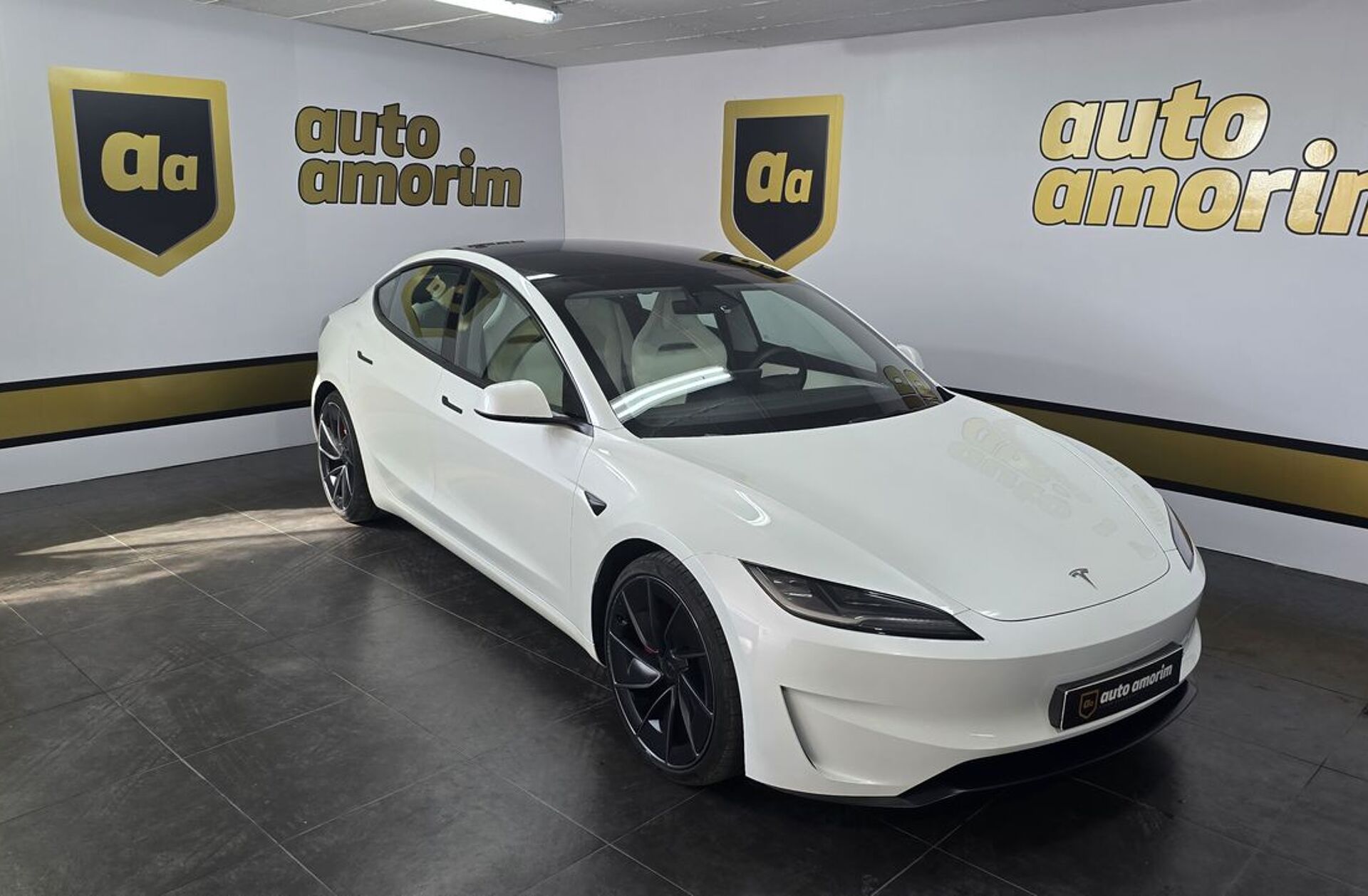 TESLA Model 3 Performance Tração Integral