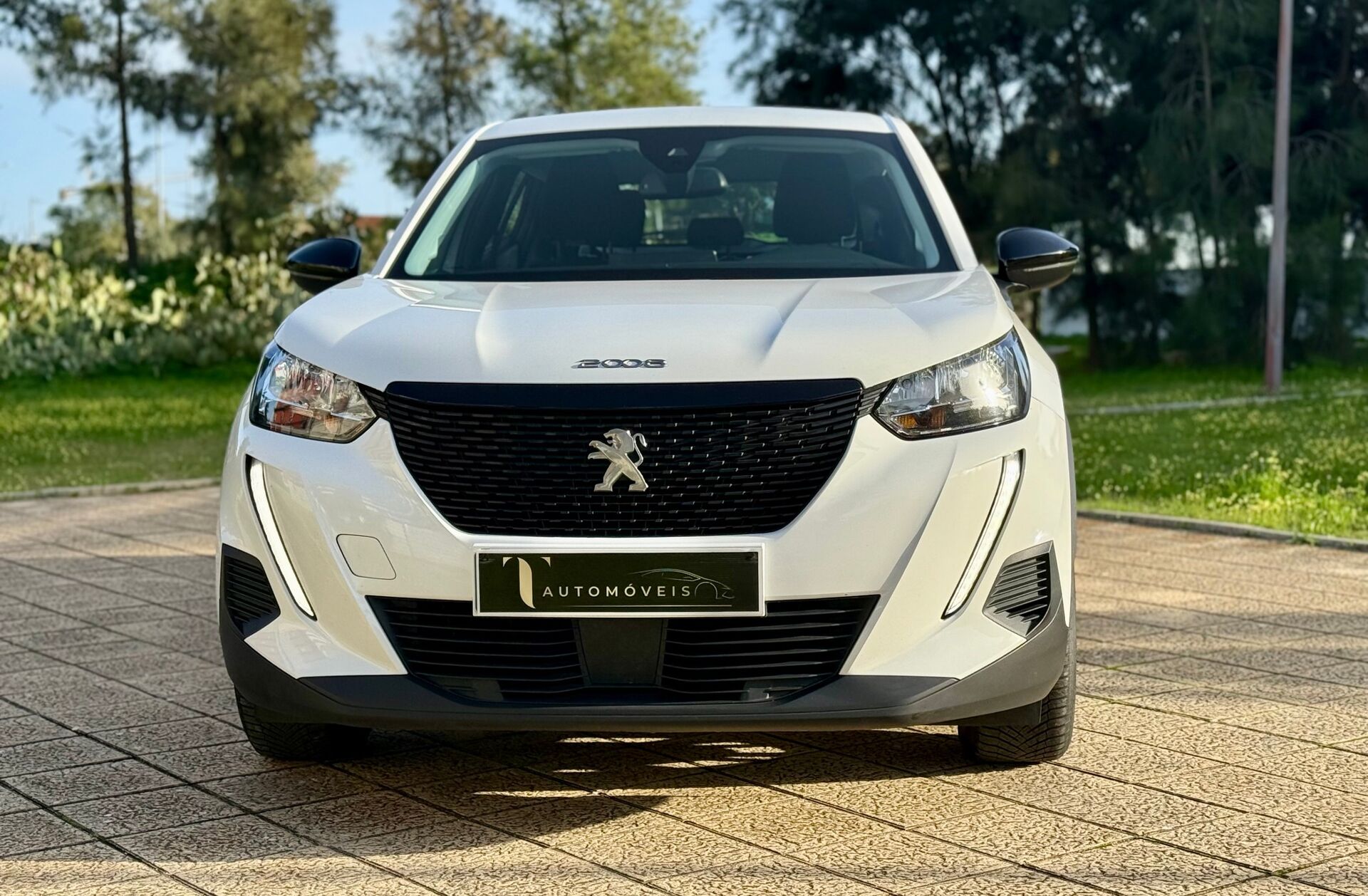 PEUGEOT 2008 1.5 BlueHDi Active Pack