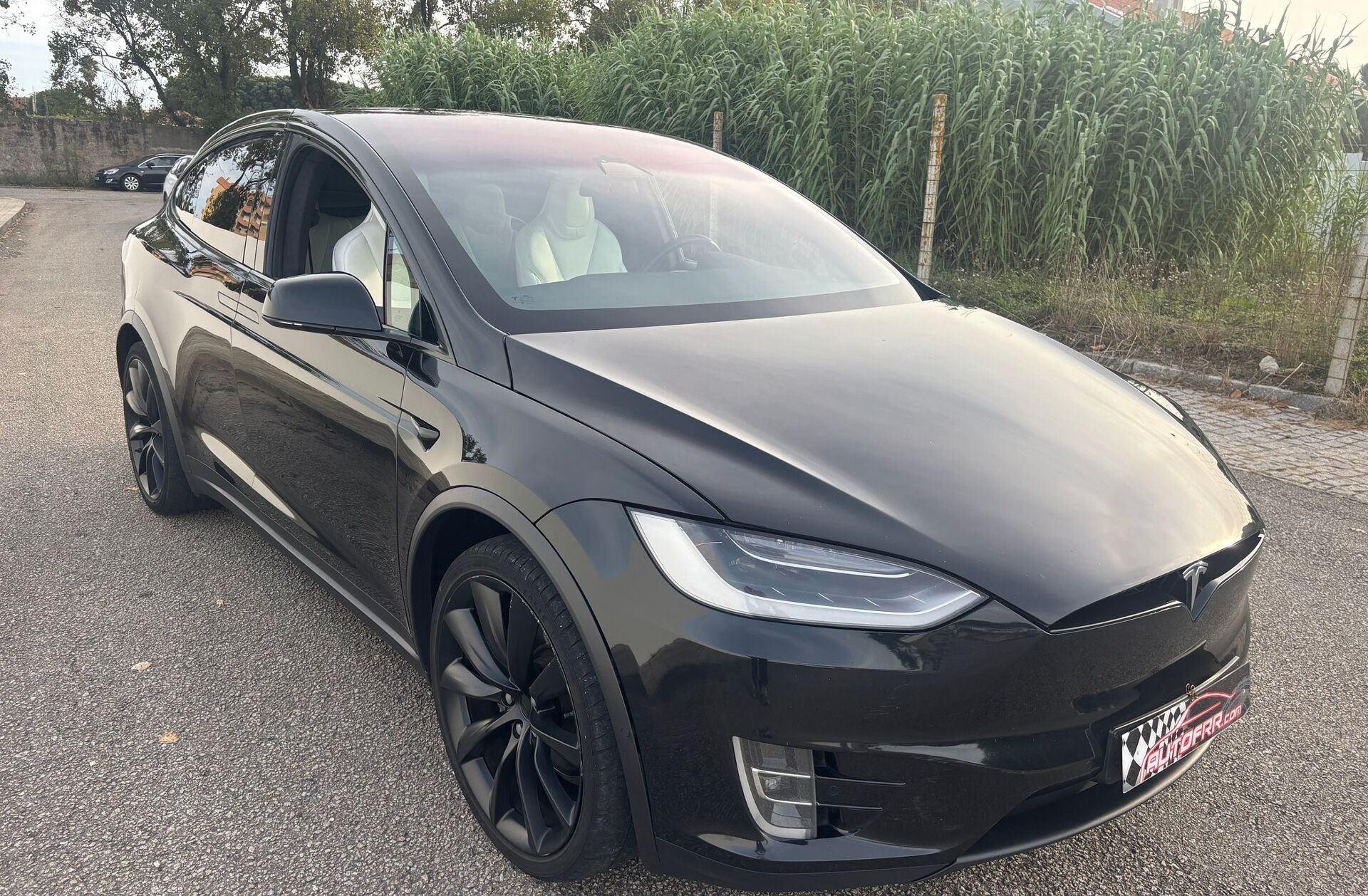 TESLA Model X 75D