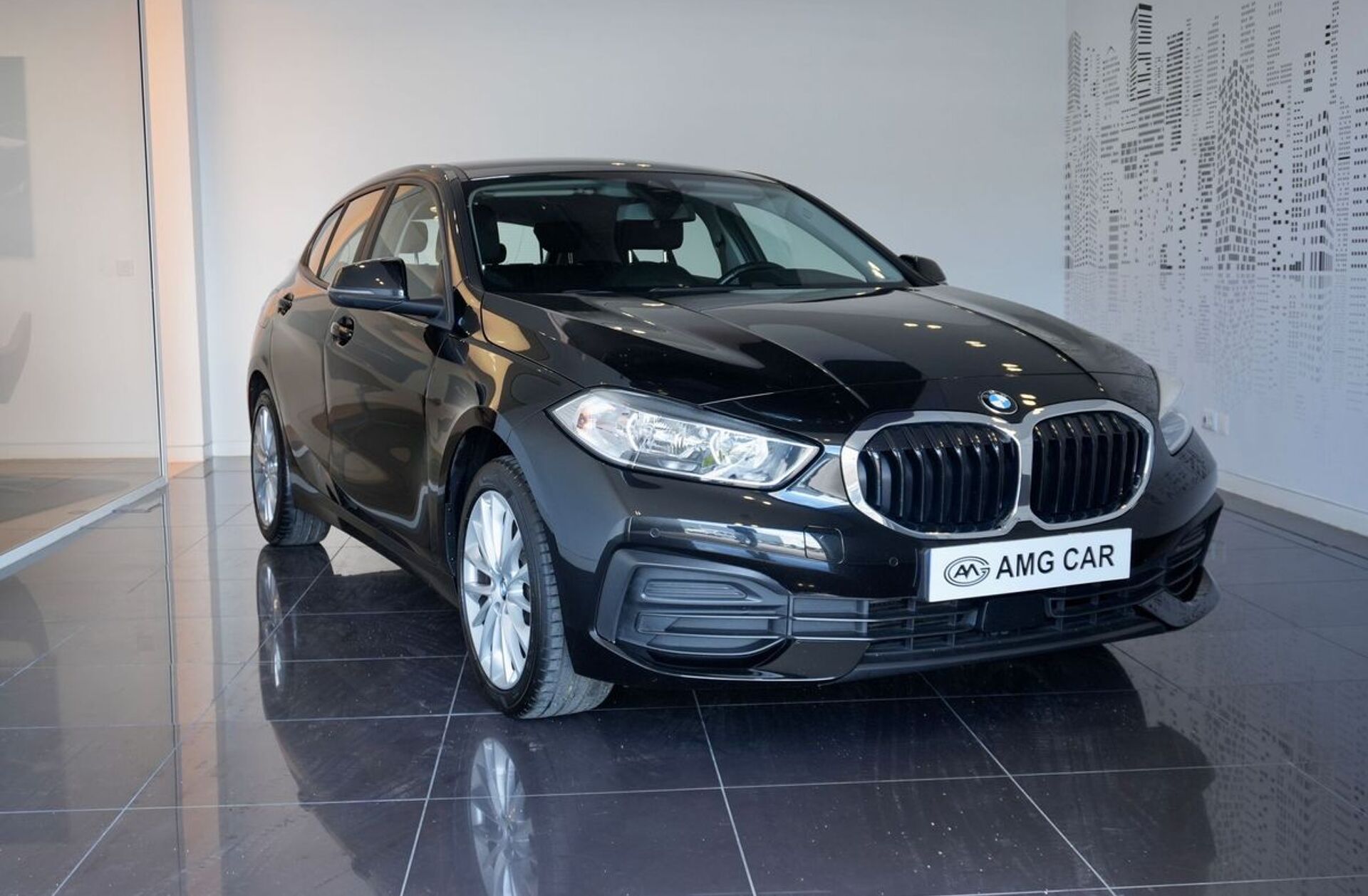 BMW Serie-1 116 d Corporate Edition Auto