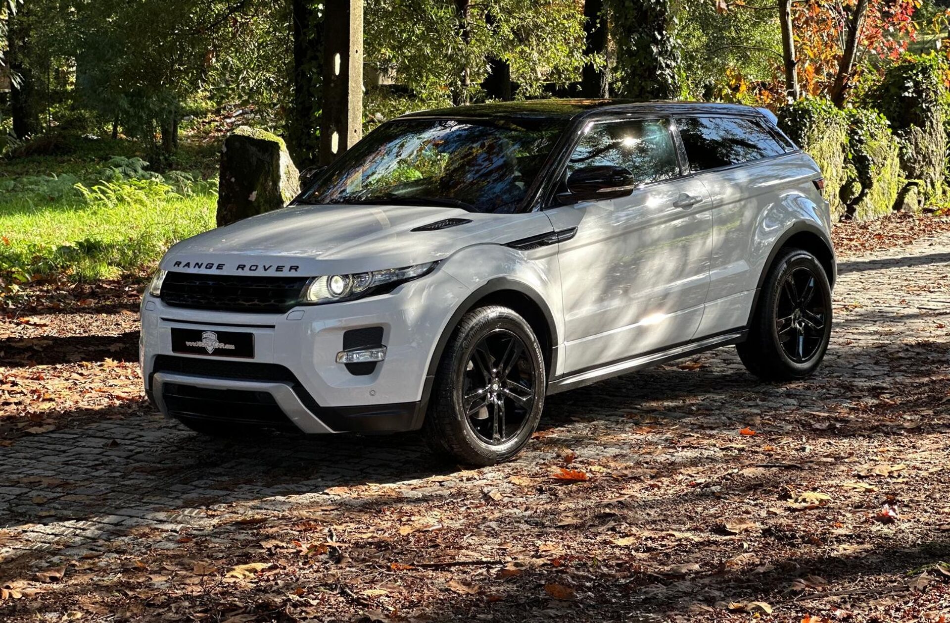 LAND ROVER Range Rover Evoque 2.2 TD4 Dynamic Auto