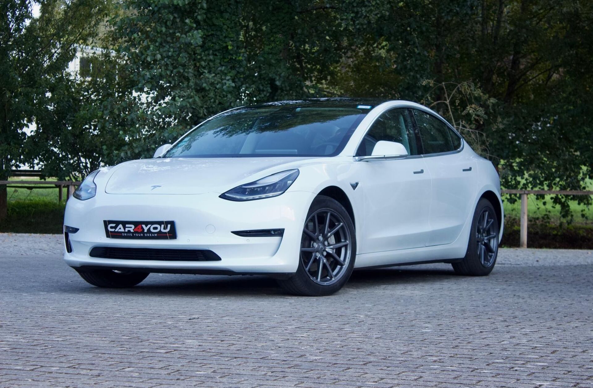 TESLA Model 3 Long-Range Dual Motor AWD