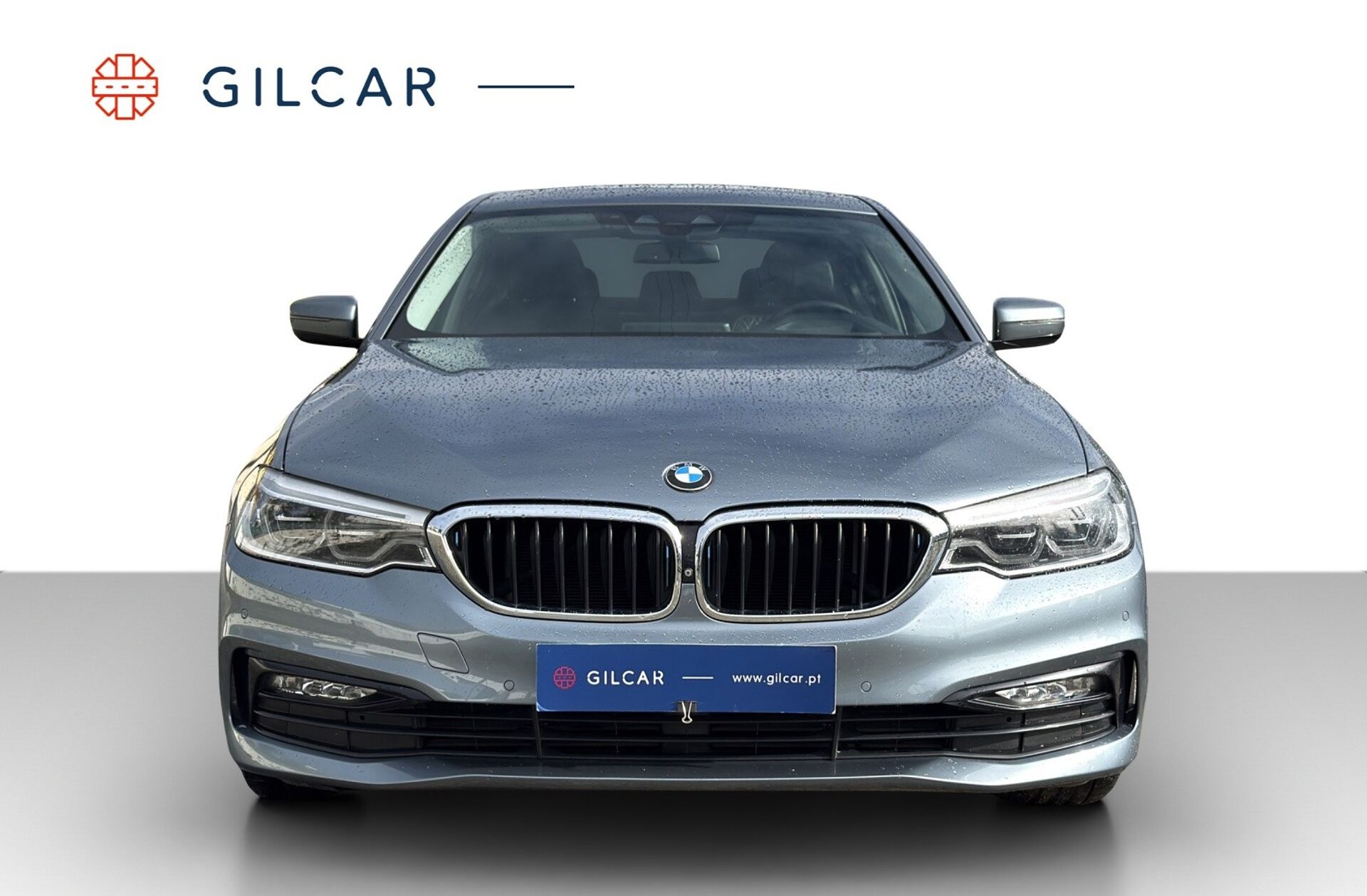 BMW Serie-5 530 e iPerformance Line Luxury