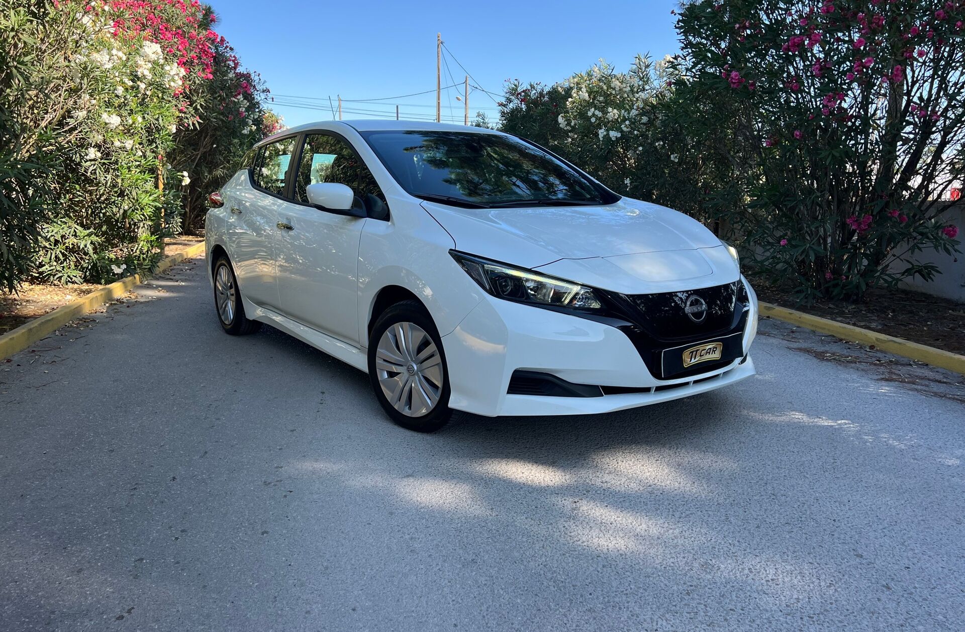 NISSAN Leaf Acenta Access