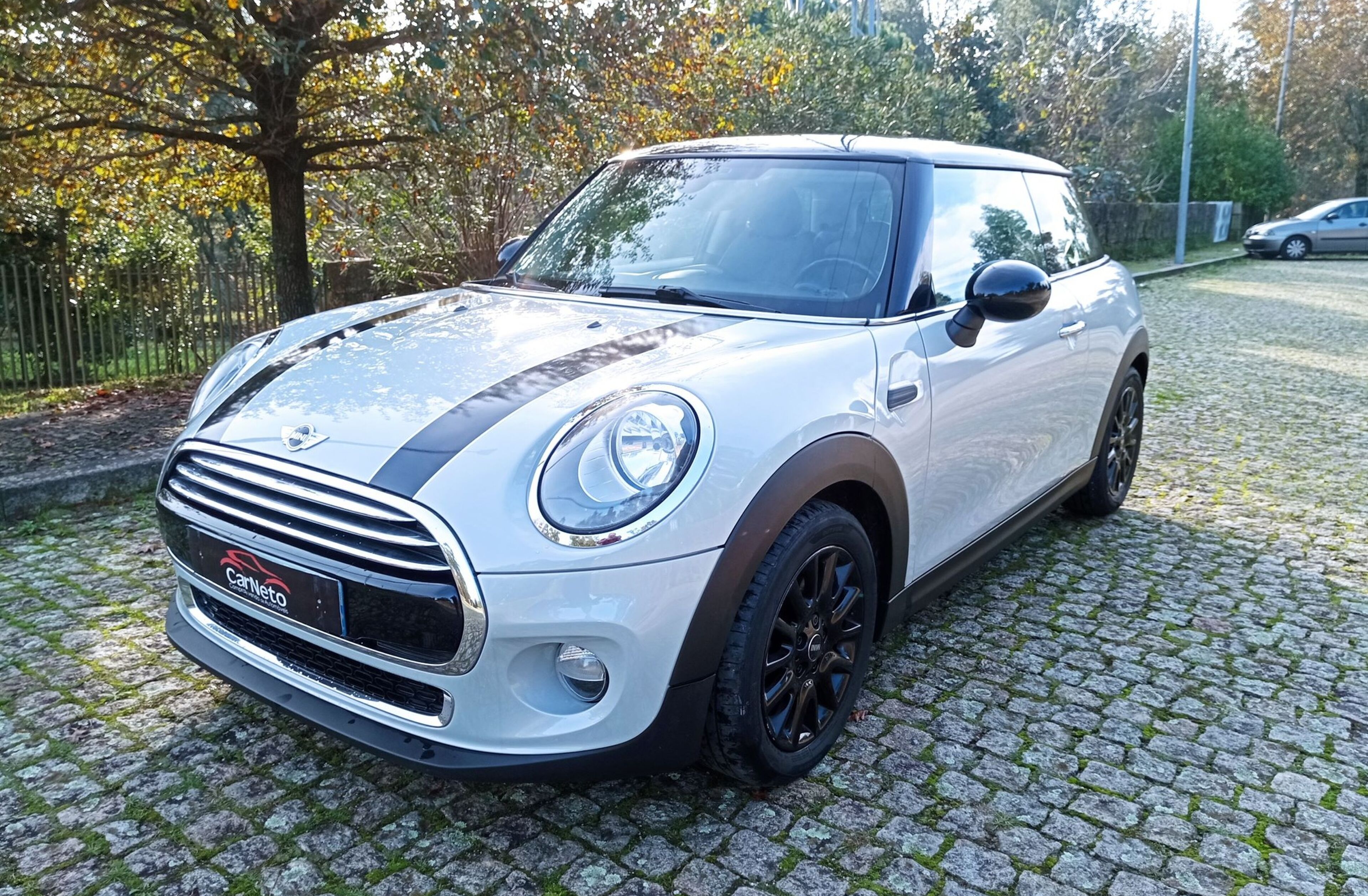 MINI Mini D