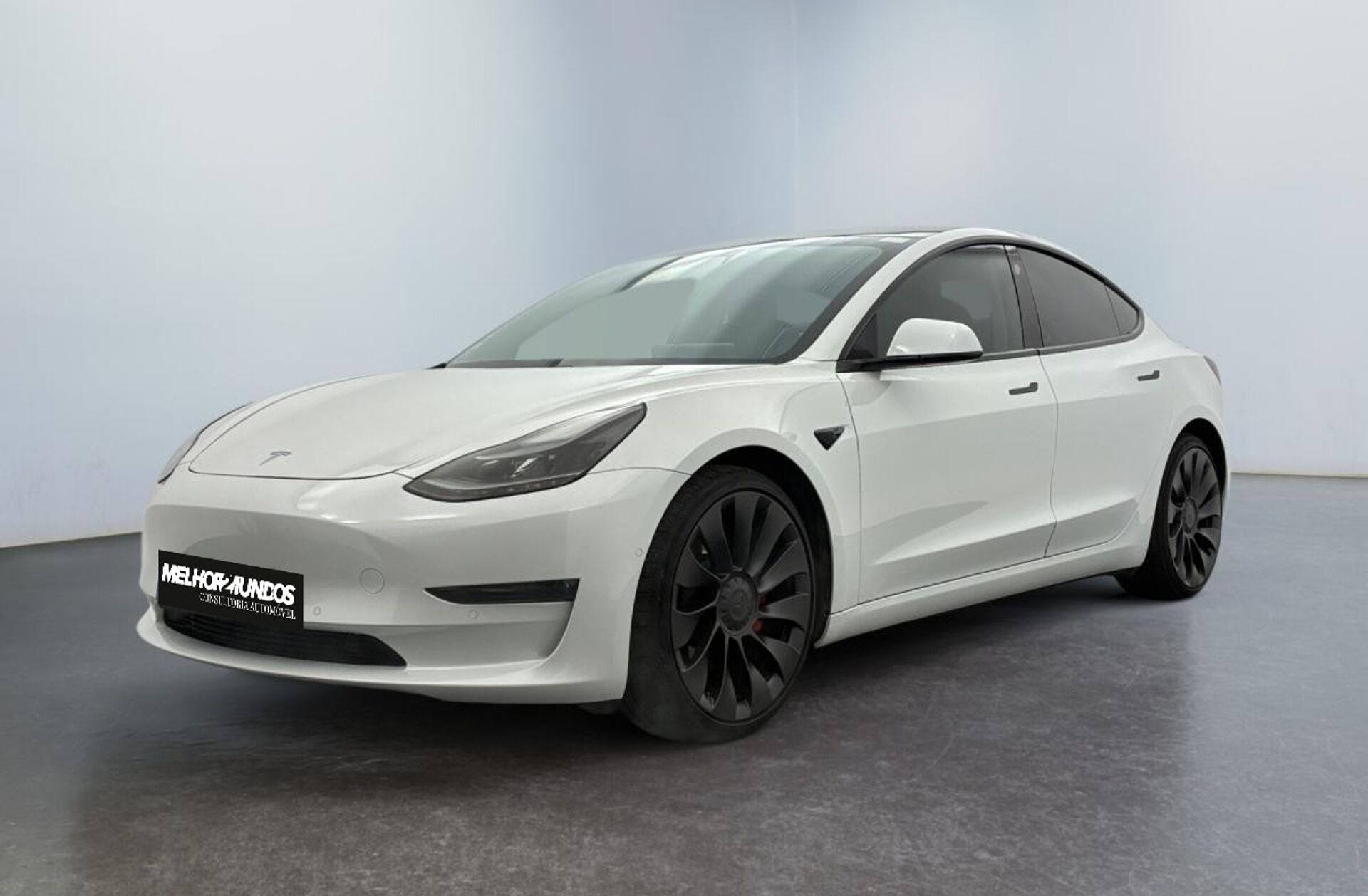TESLA Model 3 Performance Dual Motor AWD
