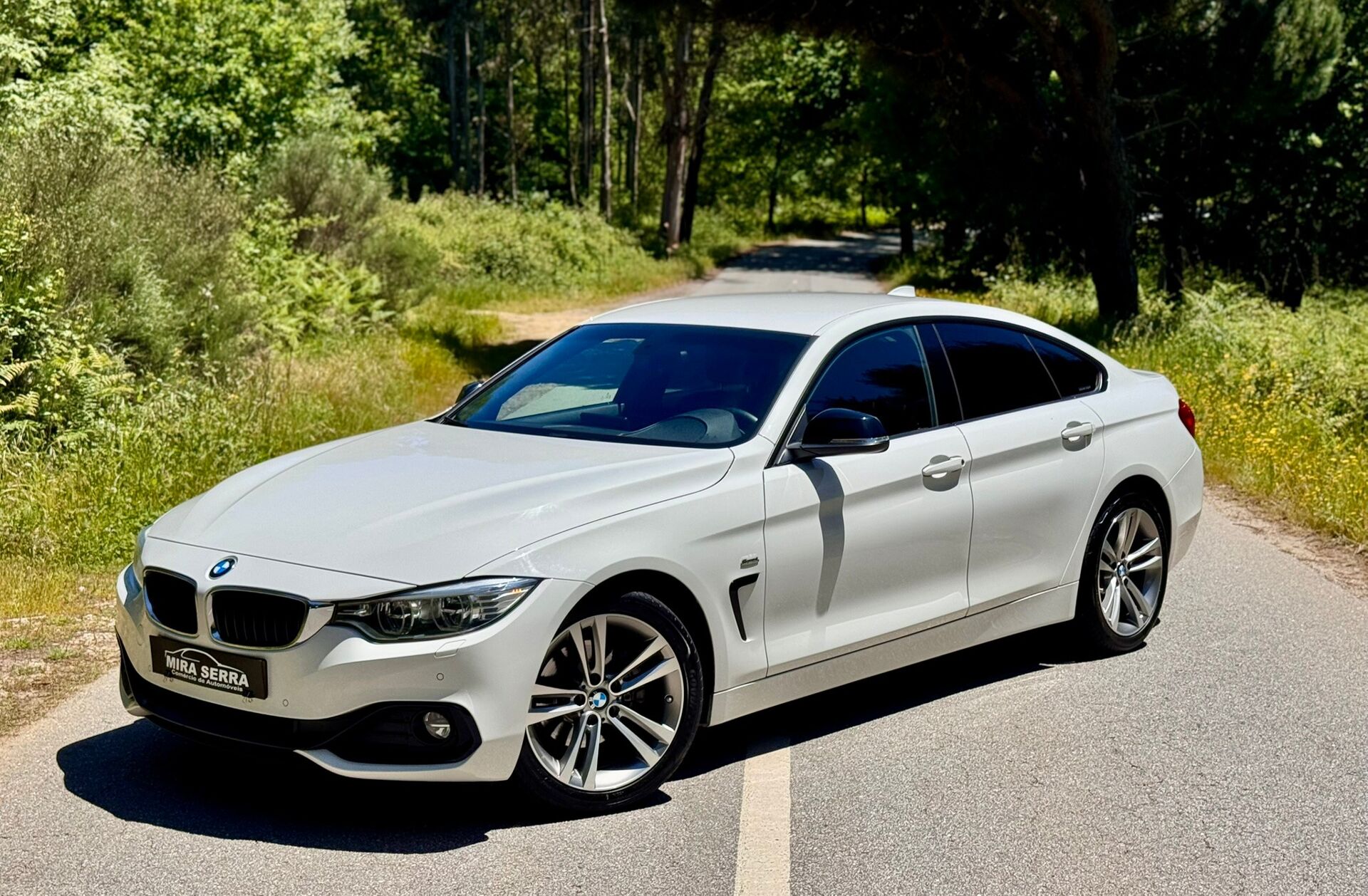 BMW Serie-4 420 Gran Coupé d Line Sport Auto