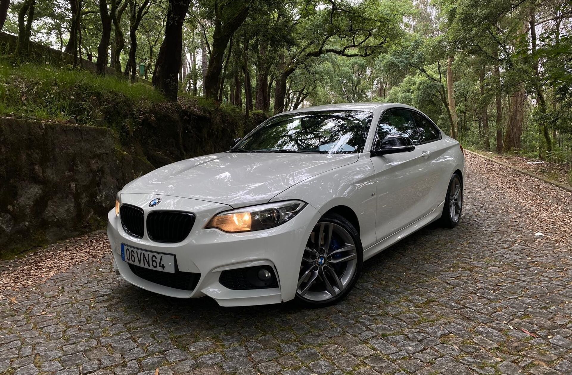 BMW Serie-2 220 d Pack M Auto