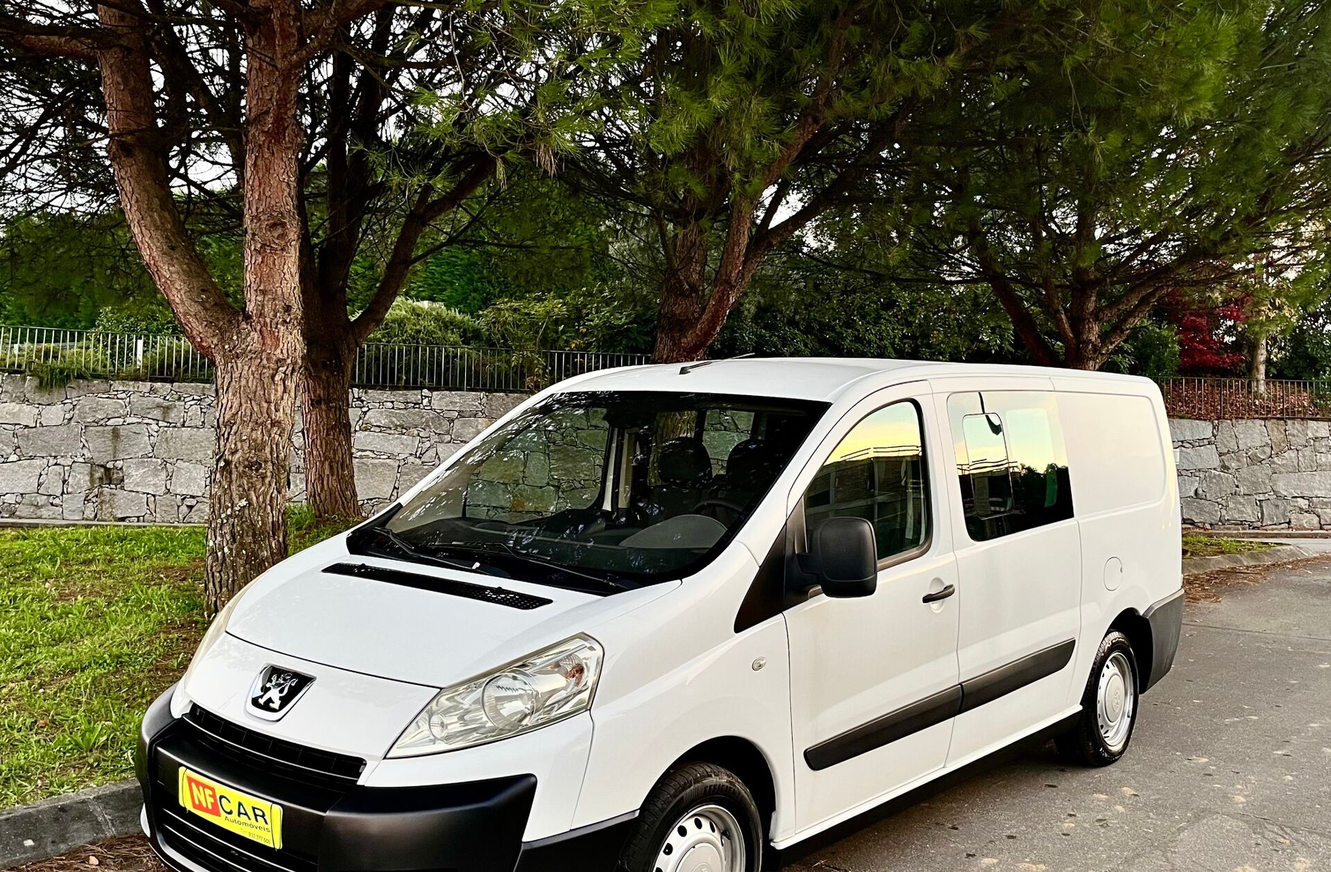 PEUGEOT Expert 2.0 HDi 229 L2H2